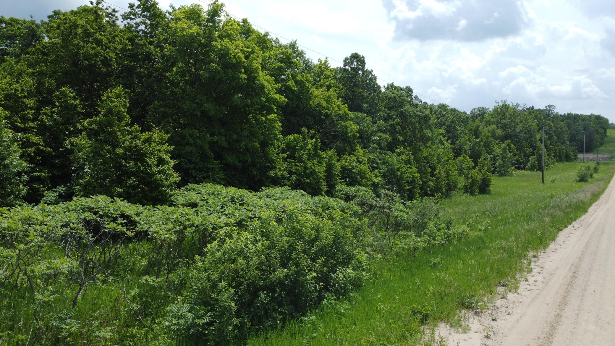 Tbd 355th Street Richville, MN 56576 - Photo 13 of 16