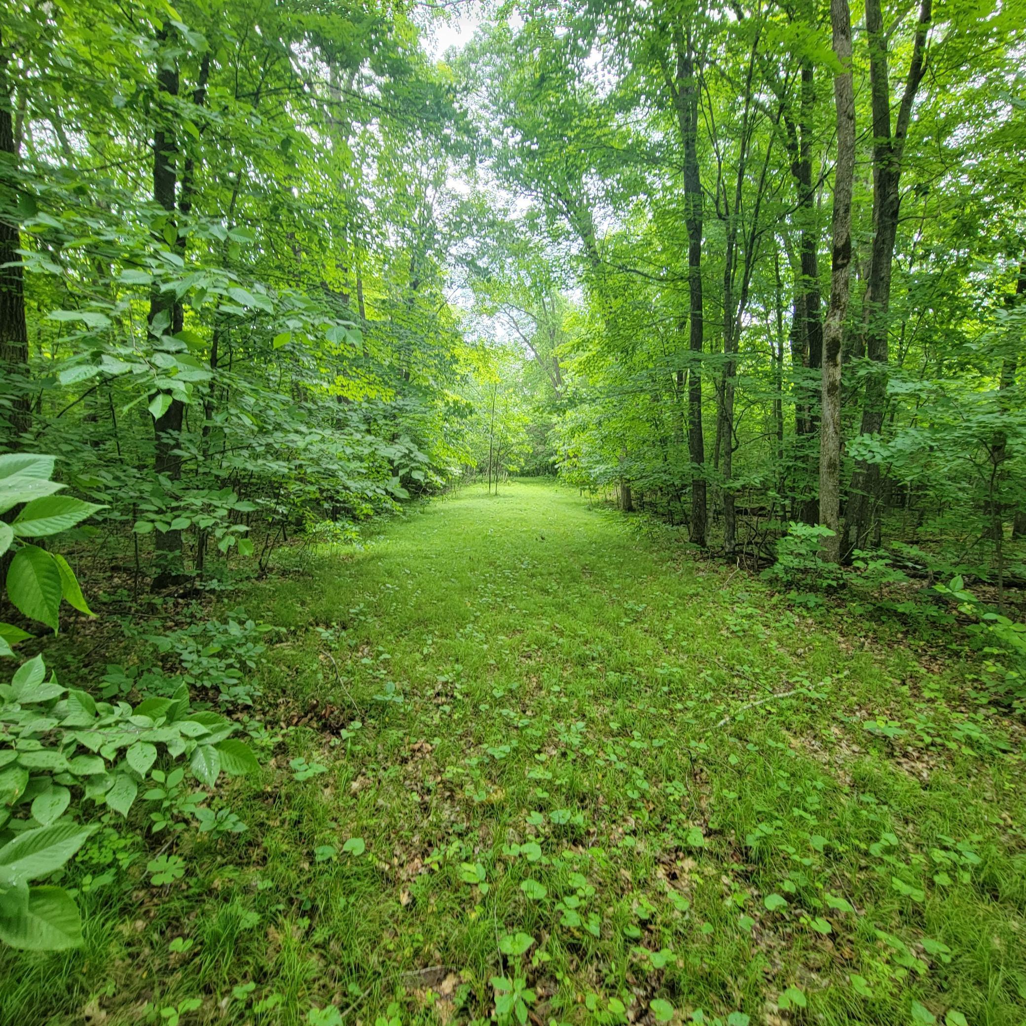 Tbd 355th Street Richville, MN 56576 - Photo 3 of 16