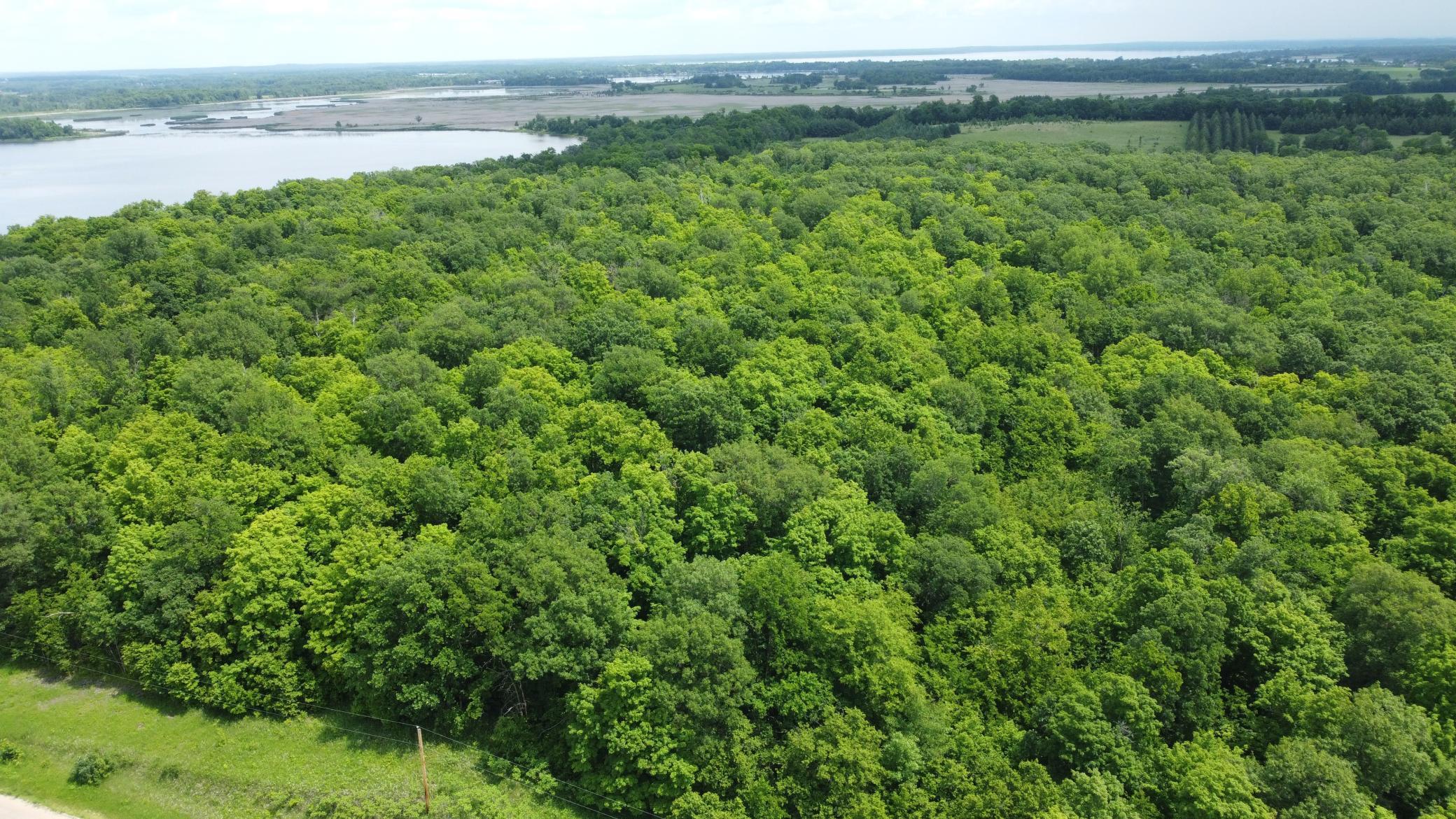 Tbd 355th Street Richville, MN 56576 - Photo 4 of 16