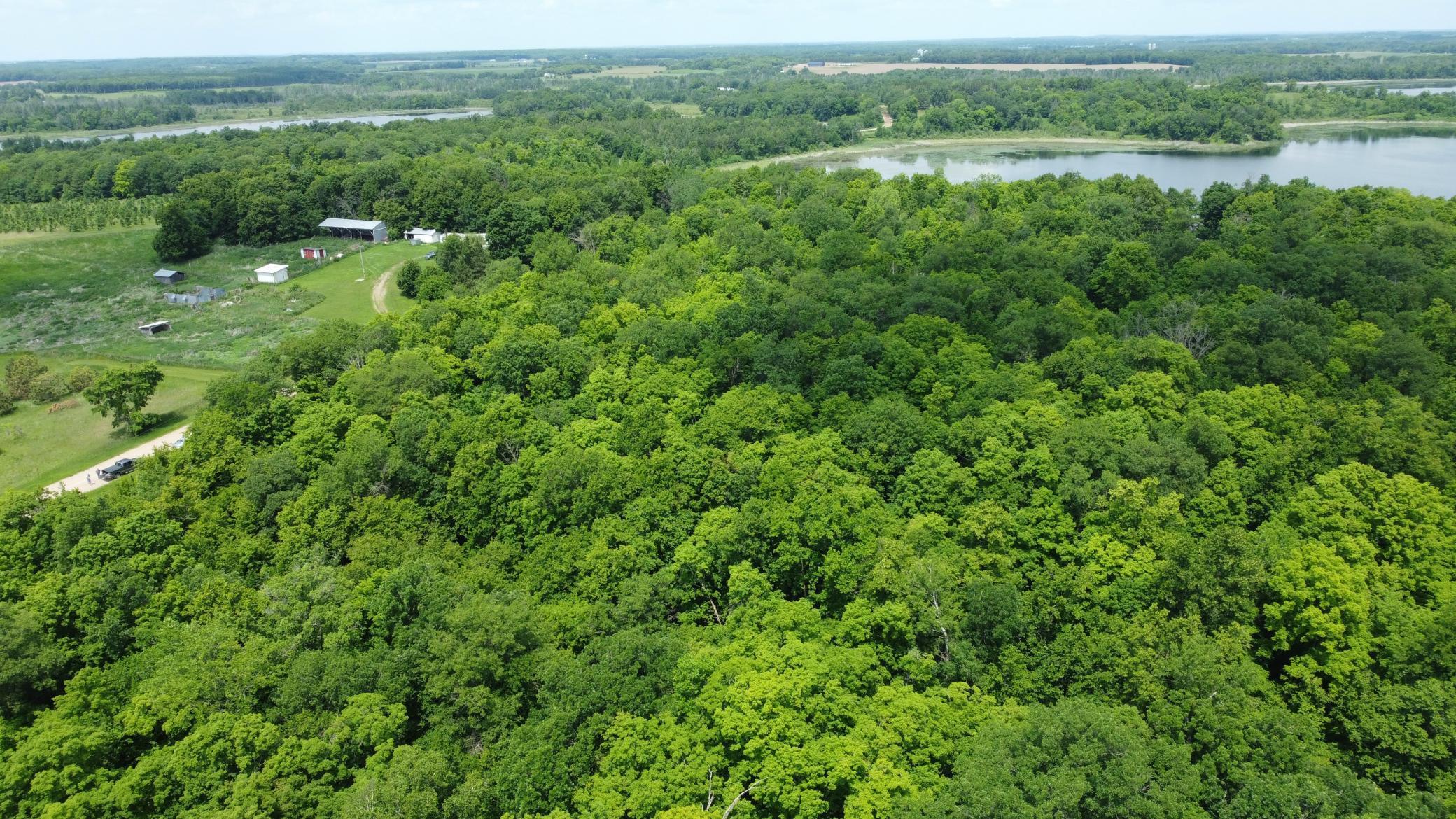 Tbd 355th Street Richville, MN 56576 - Photo 6 of 16