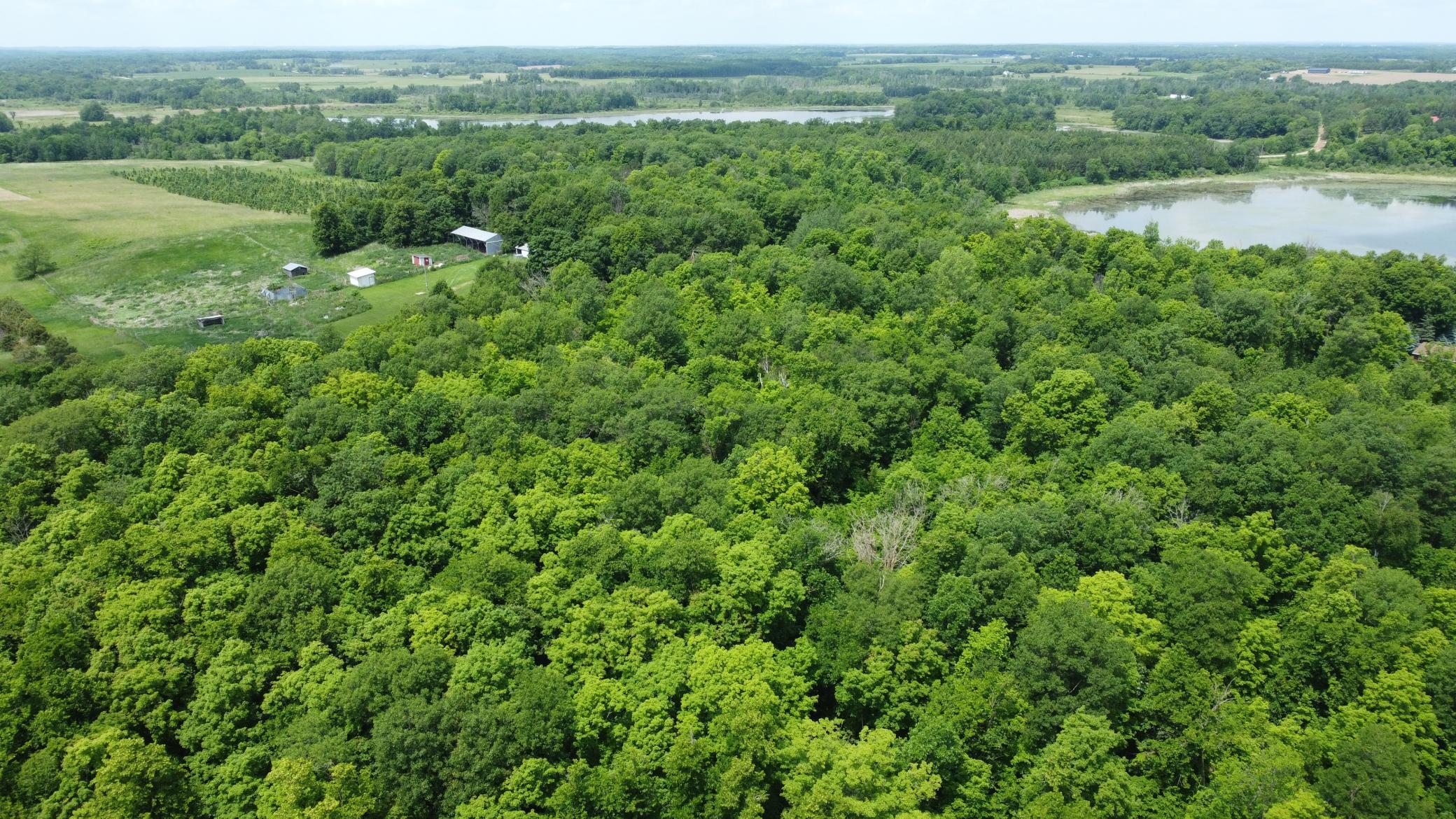 Tbd 355th Street Richville, MN 56576 - Photo 7 of 16