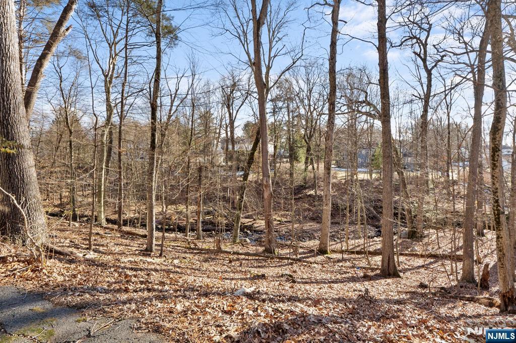 20 Hidden Glen Road Upper Saddle River, NJ 07458 - Photo 28 of 36