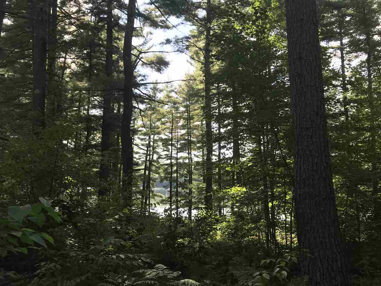 239 Hayden Road, Unit 28/006 Hollis, NH 03049 - Photo 7 of 11