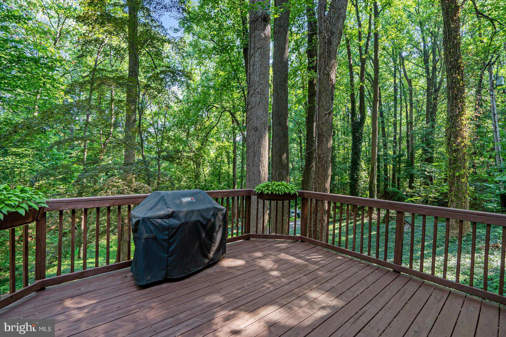 14116 Baldwin Mill Road Baldwin, MD 21013 - Photo 38 of 38 Gallery Image 38