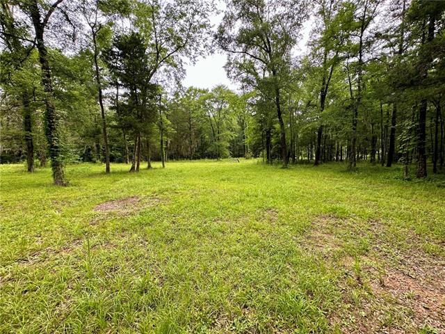 774 Claudes Road Colfax, LA 71417 - Photo 7 of 25