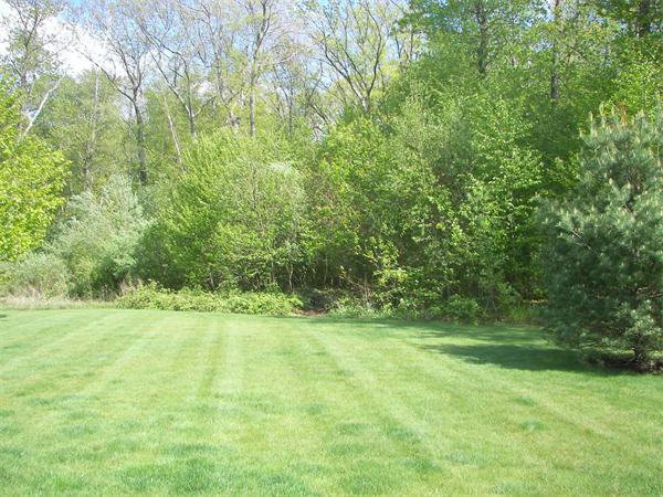 16 Buffy Road Bellingham, MA 02019 - Photo 12 of 12