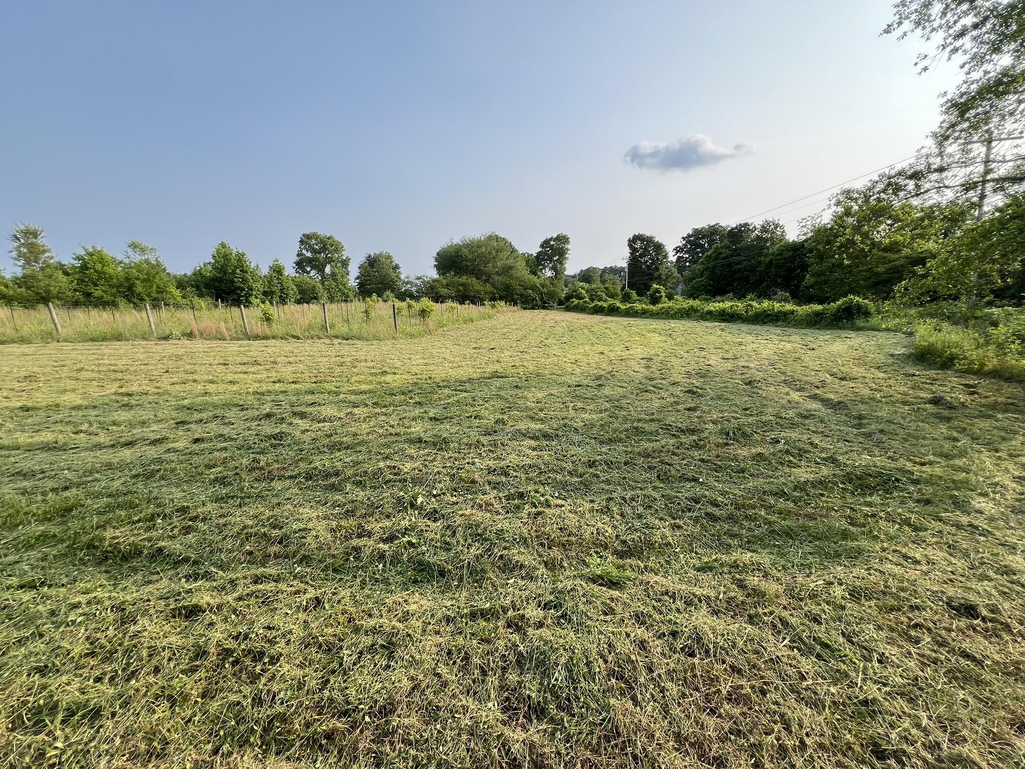 333 Hooper Road Ringgold, GA 30736 - Photo 1 of 1 Gallery Image 1