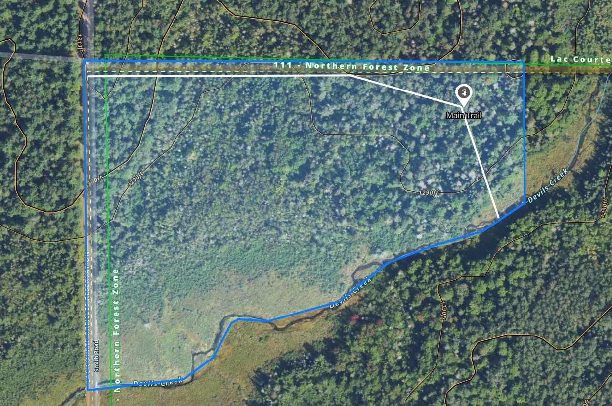 Lot 1 North Smith Road Couderay, WI 54828 - Photo 12 of 29