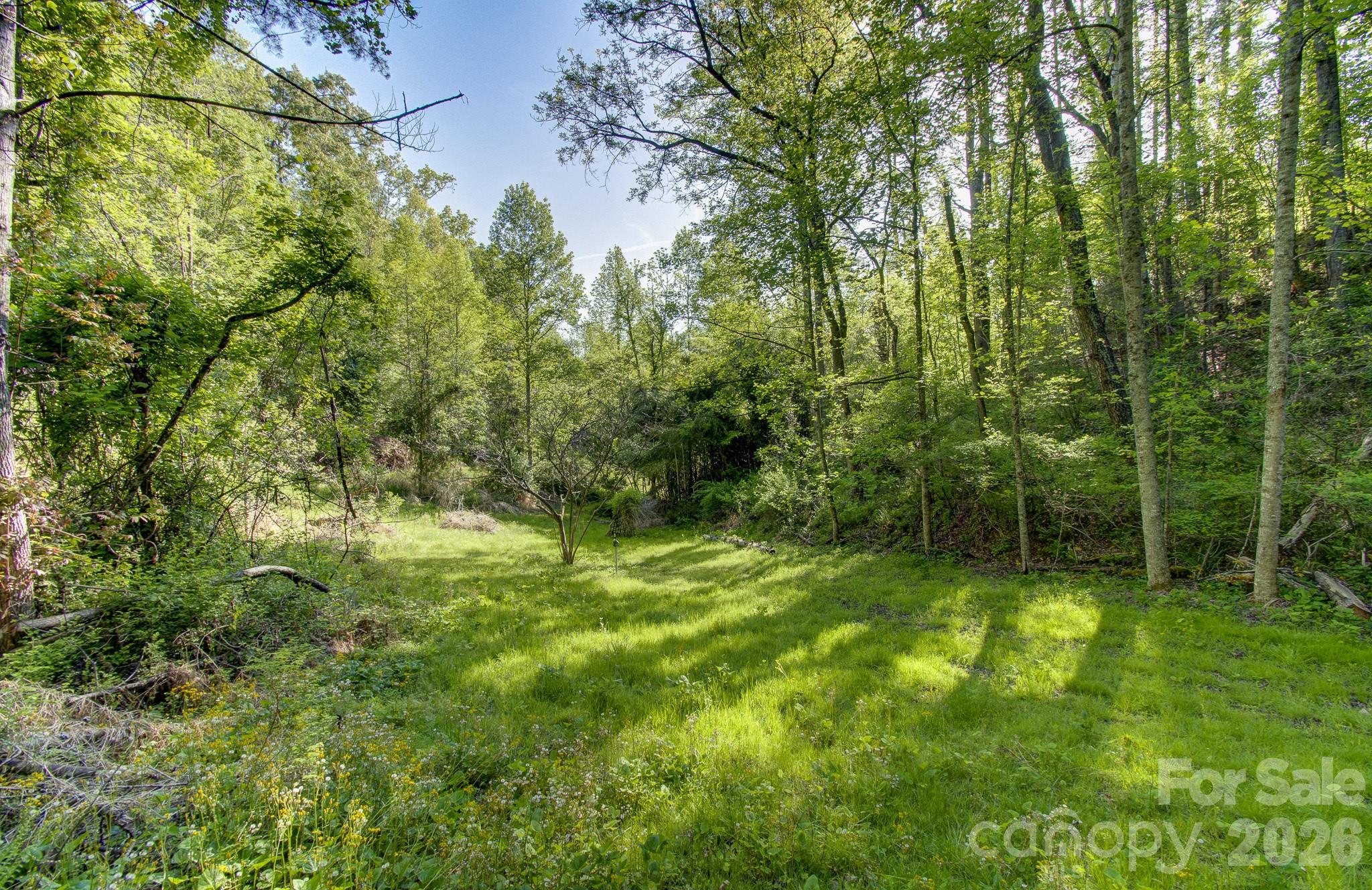 169 Pickens Road Weaverville, NC 28787 - Photo 47 of 48