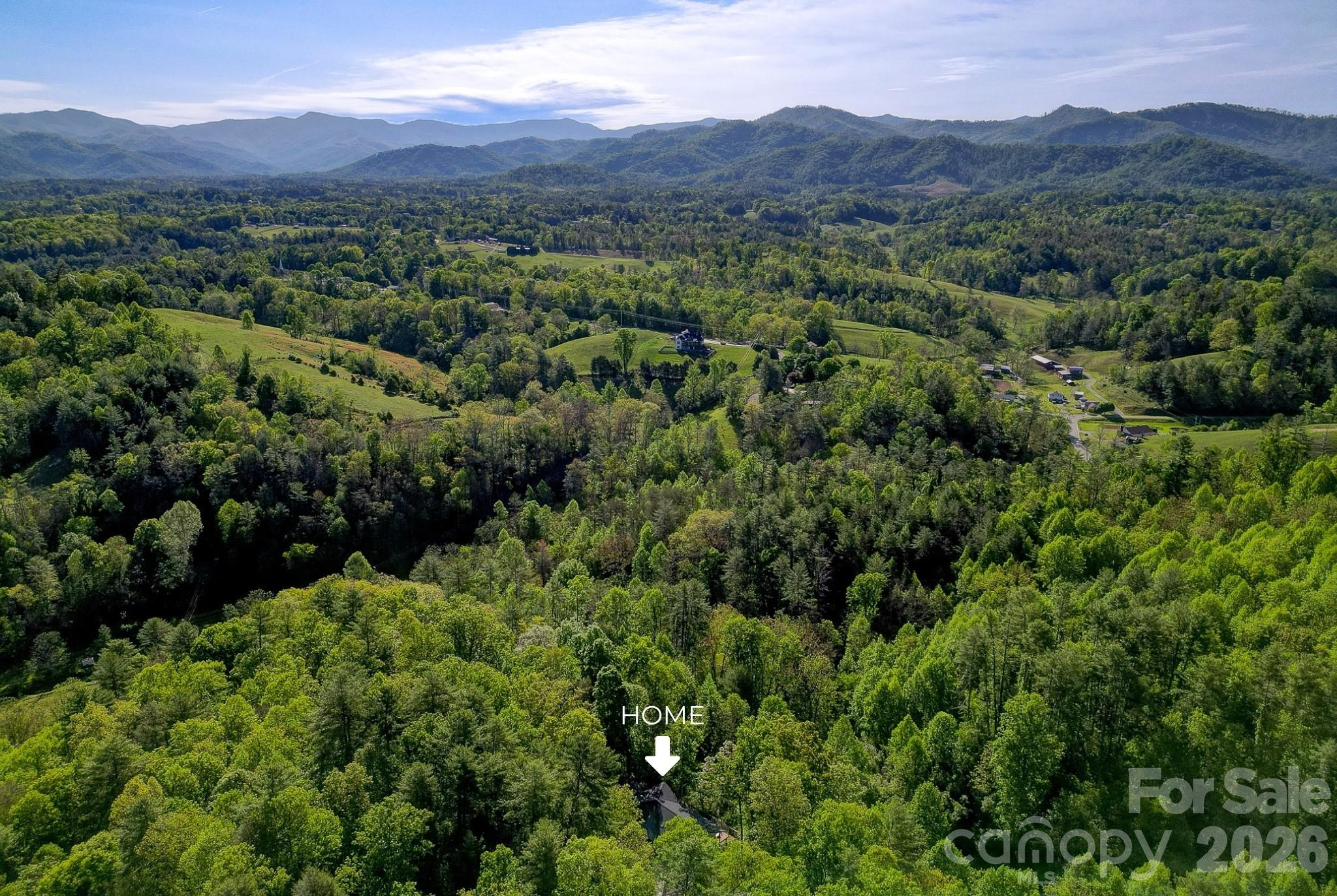 169 Pickens Road Weaverville, NC 28787 - Photo 48 of 48