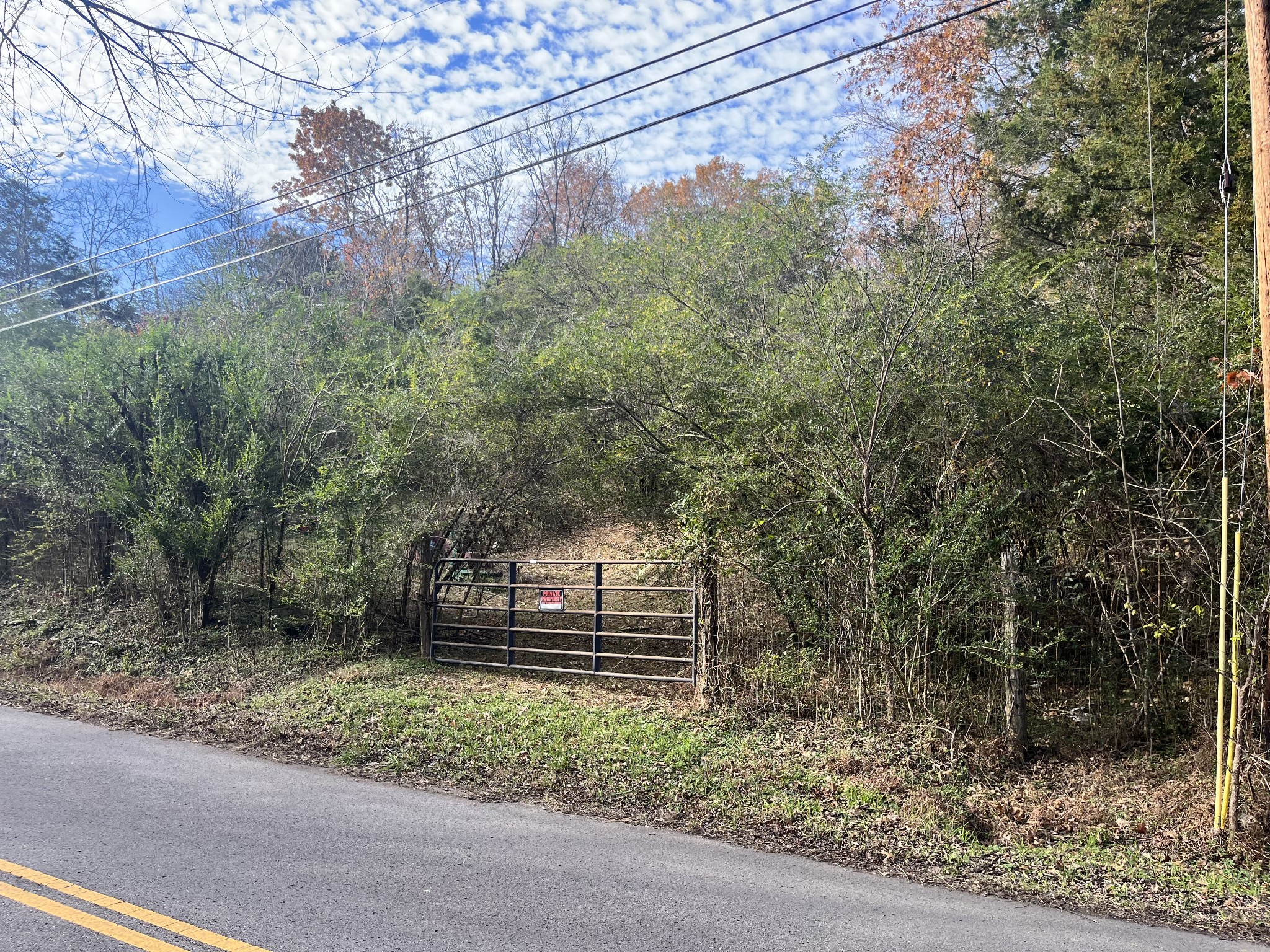3371 Freeman Hollow Road Goodlettsville, TN 37072 - Photo 2 of 4 a backyard of a house with lots of green space