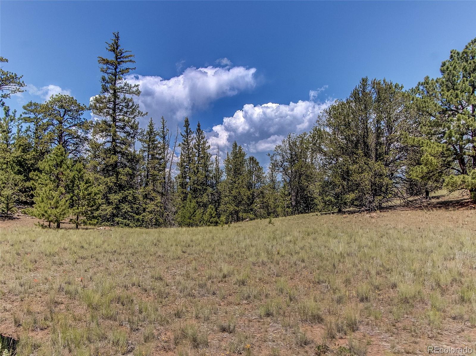 Willow Way Jefferson, CO 80456 - Photo 15 of 29 a view of outdoor space and trees all around