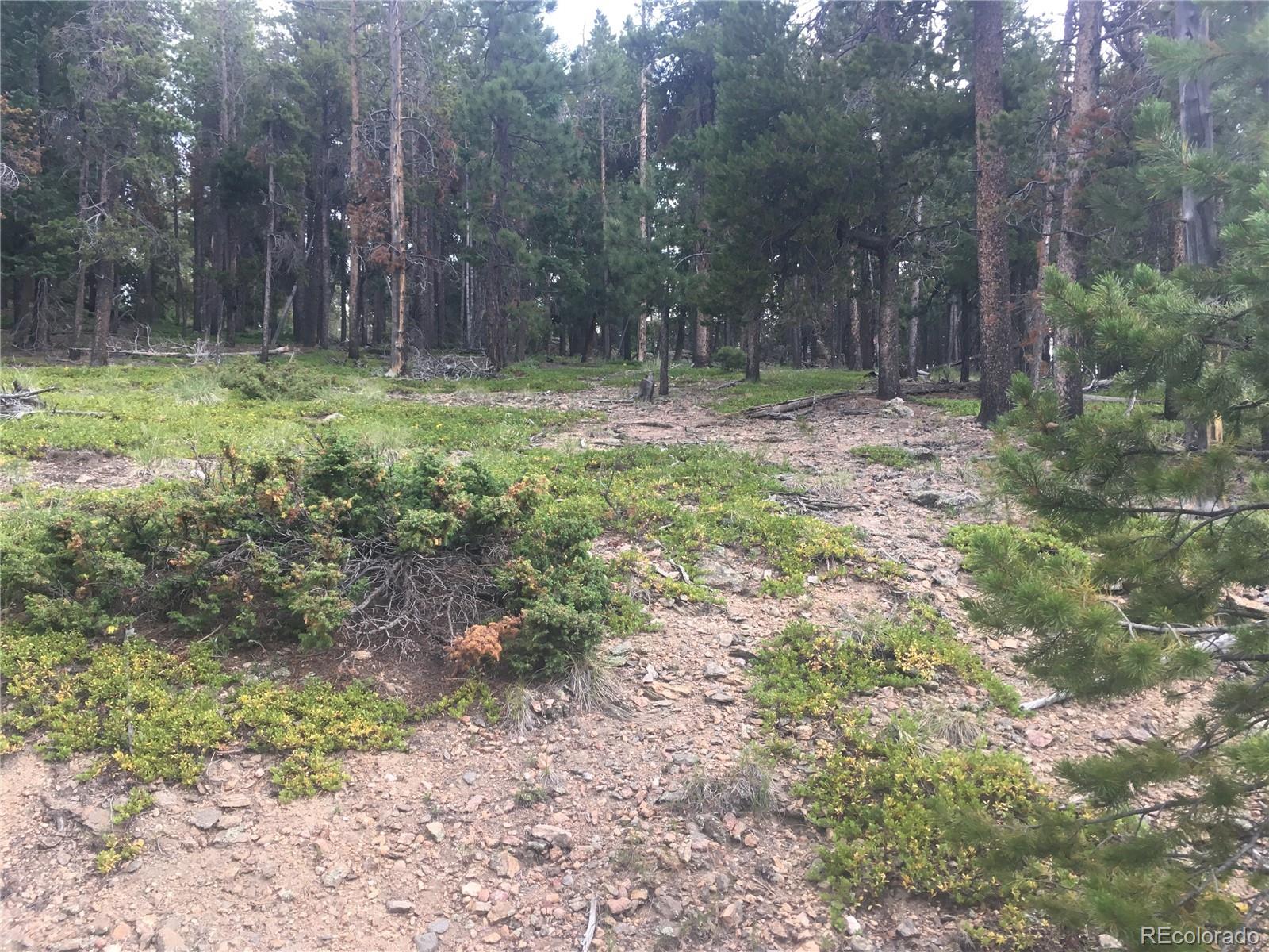 Willow Way Jefferson, CO 80456 - Photo 27 of 29 a view of outdoor space with trees