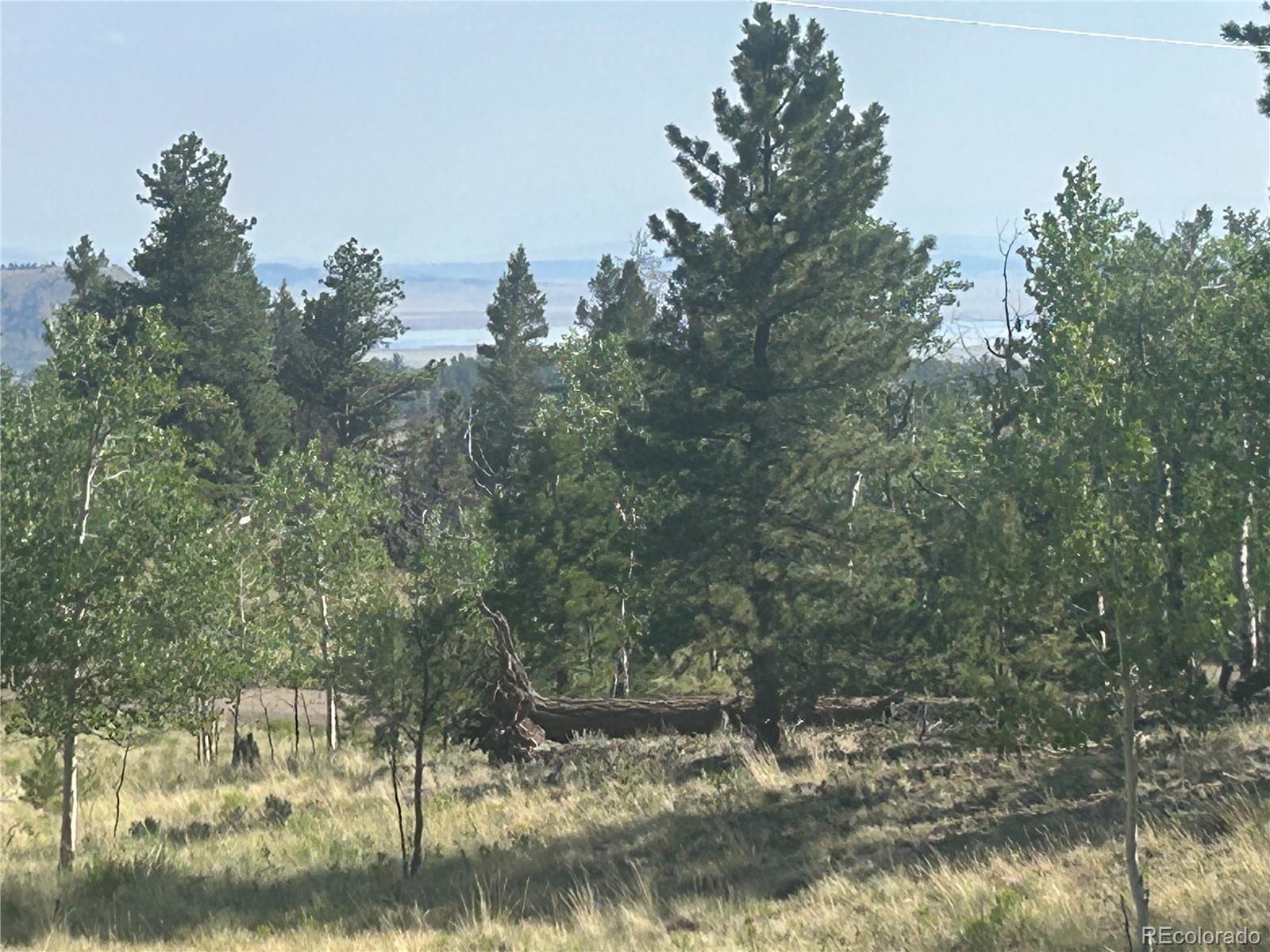 3361 Singletree Road Hartsel, CO 80449 - Photo 8 of 15 a view of a lake view