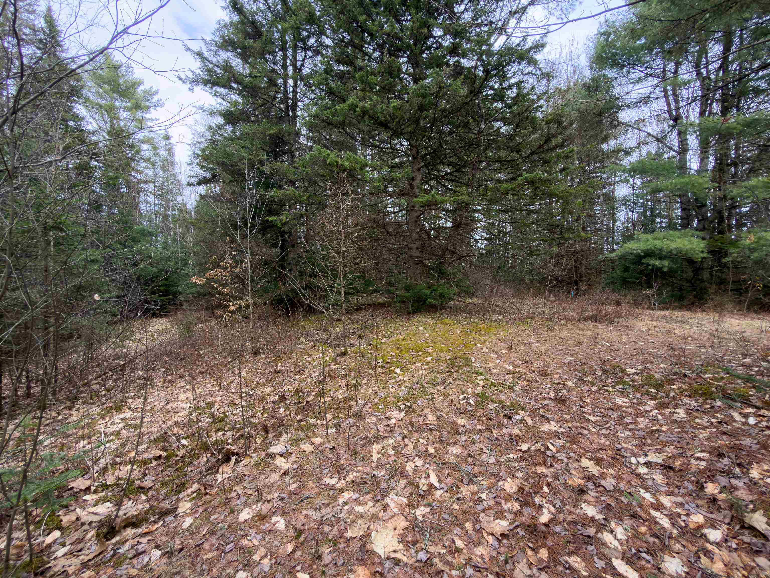 31 Privacy Lane Concord, VT 05824 - Photo 13 of 13
