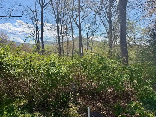 a view of yard covered with trees
