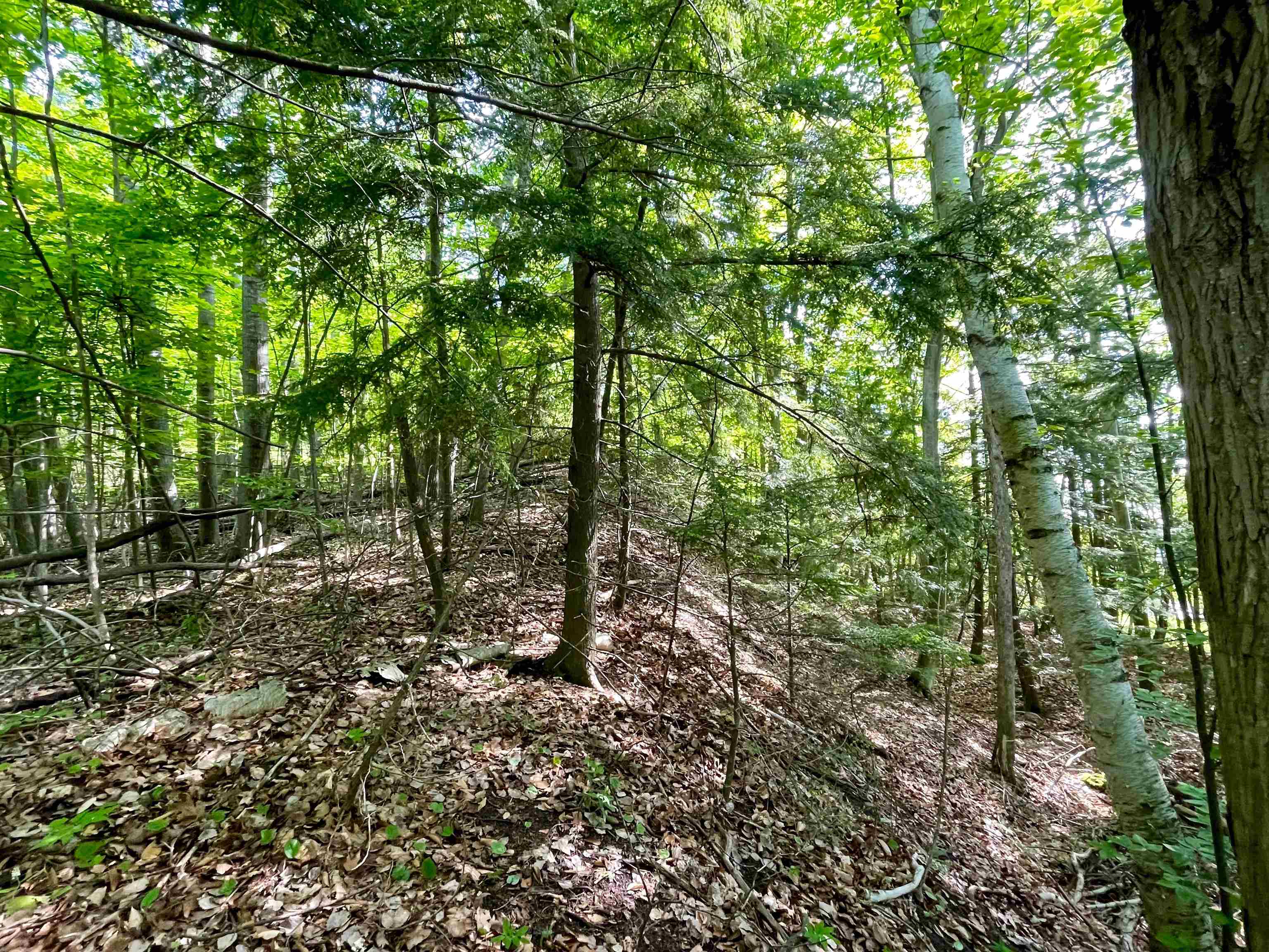 0 Bluff Road Traverse City, MI 49686 - Photo 14 of 19