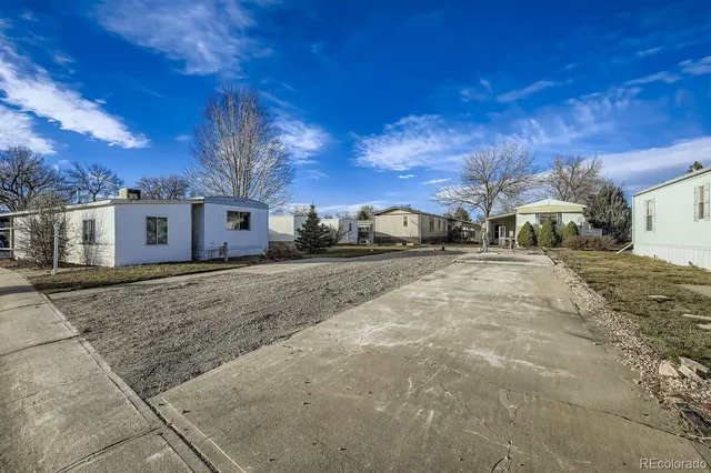 a view of road with large trees