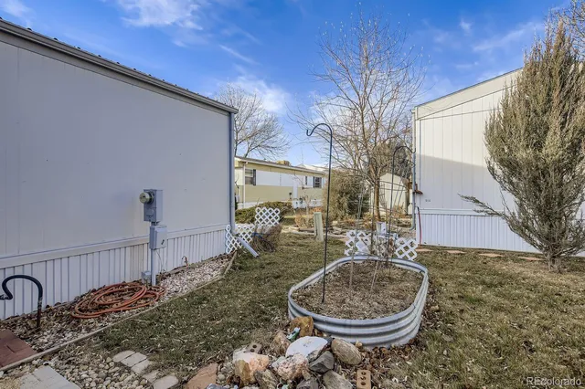 a view of a backyard with plants and tree