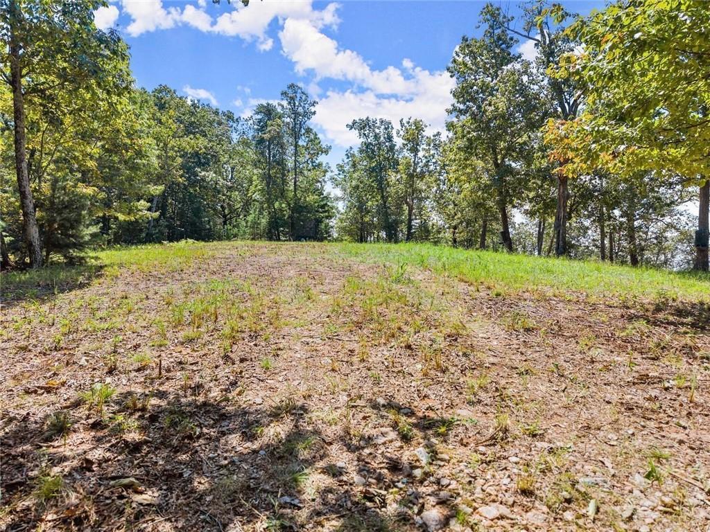 0 Helton Road Cleveland, GA 30528 - Photo 27 of 79 Gallery Image 27