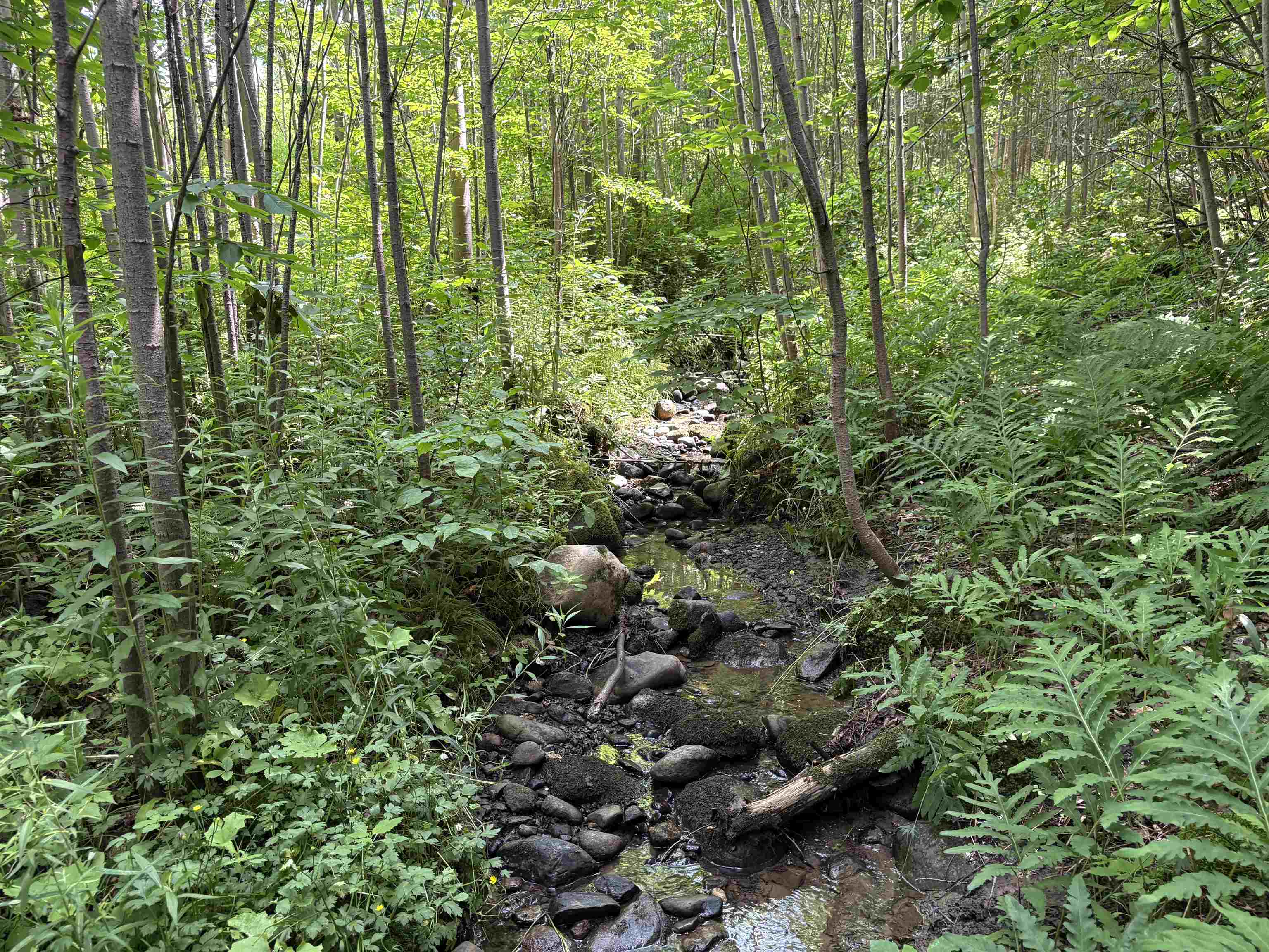 990 Bergeron Road Troy, VT 05859 - Photo 25 of 33