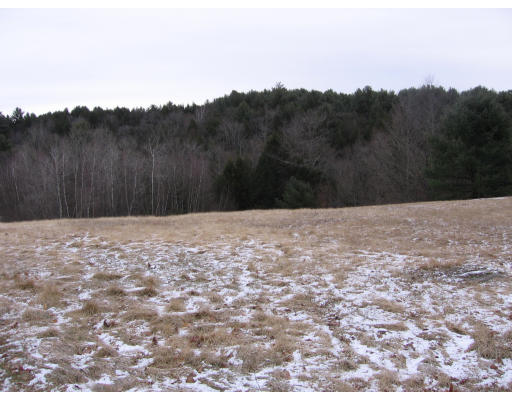 Lot 1 Shaw Road Goshen, MA 01032 - Photo 1 of 1 Gallery Image 1