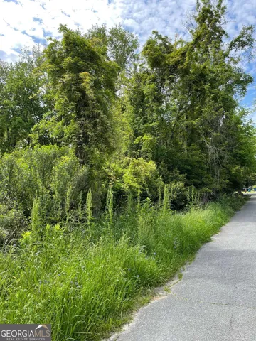a view of a garden with a tree