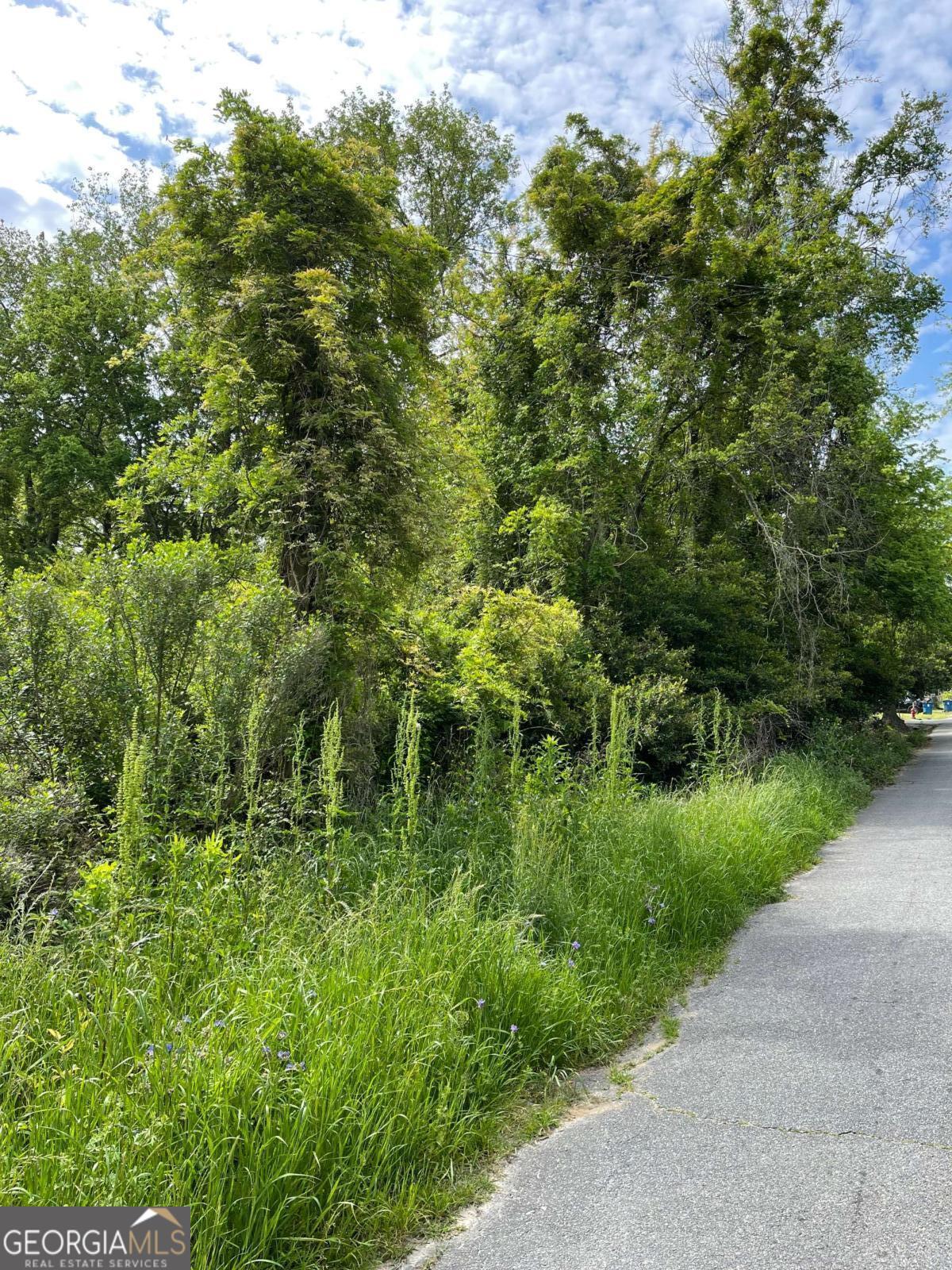 a view of a garden with a tree