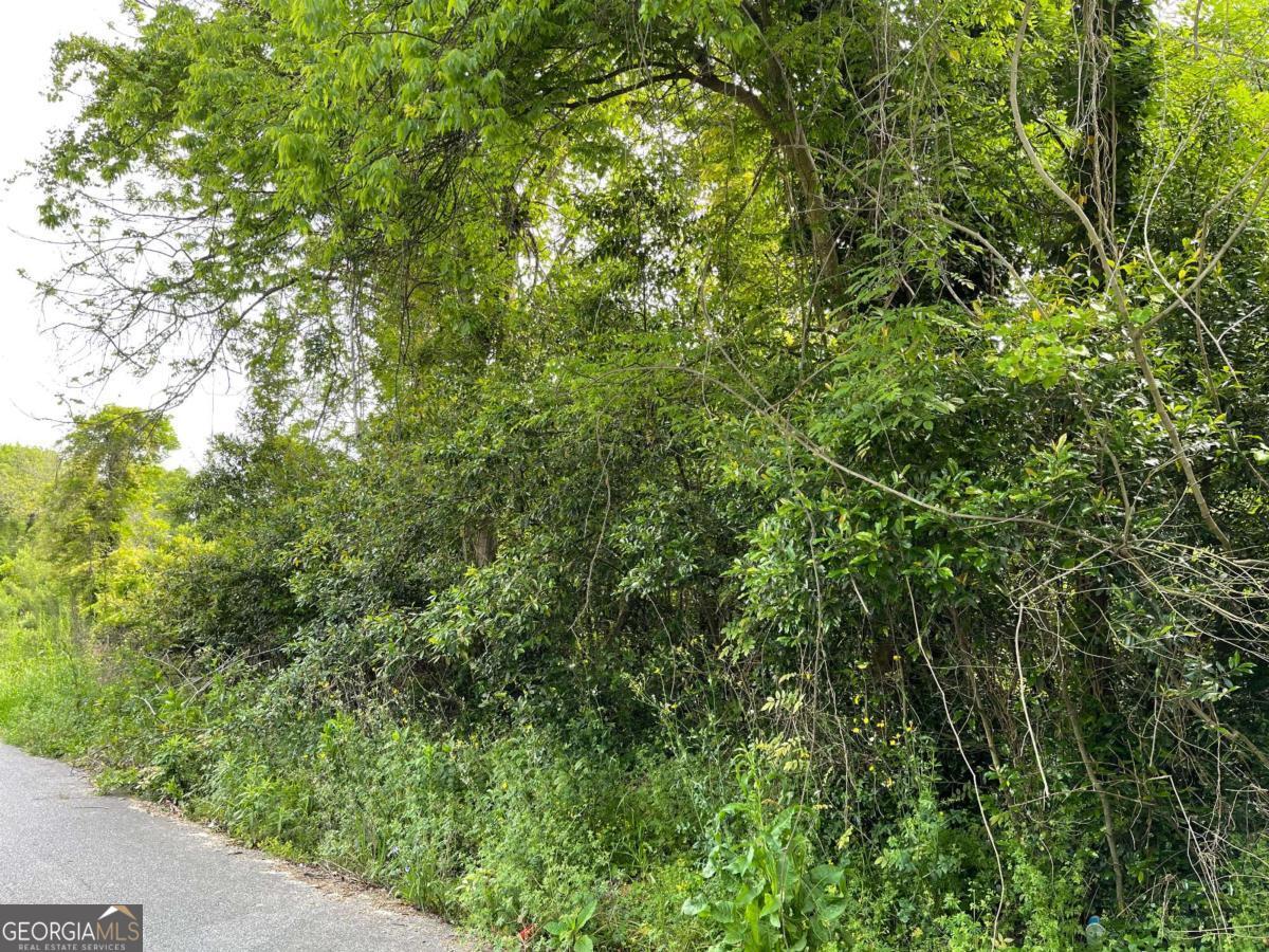 209 Lively Street Vidalia, GA 30474 - Photo 4 of 7