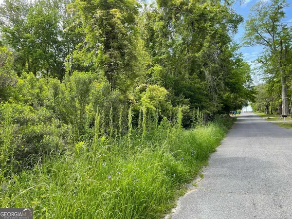 $7,030 | 209 Lively Street, Vidalia, GA 30474