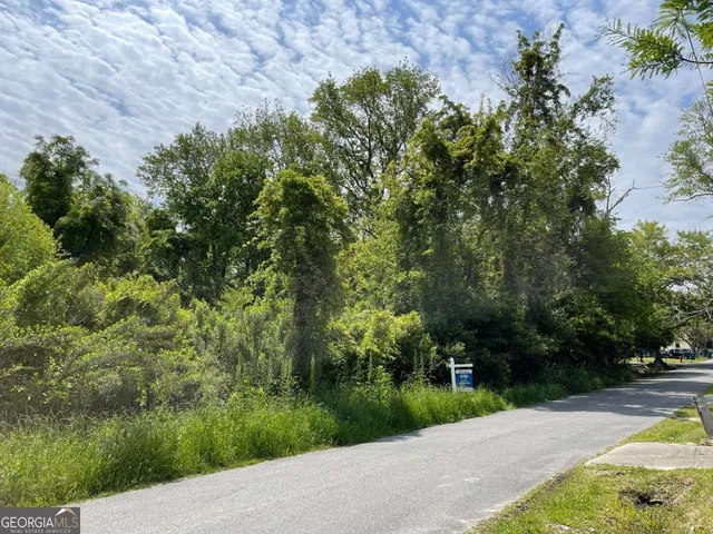 a view of a street with a tree