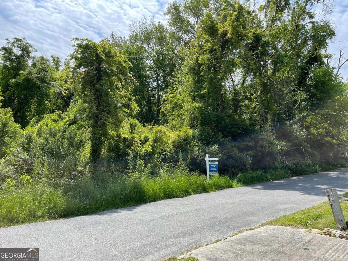 209 Lively Street Vidalia, GA 30474 - Photo 7 of 7