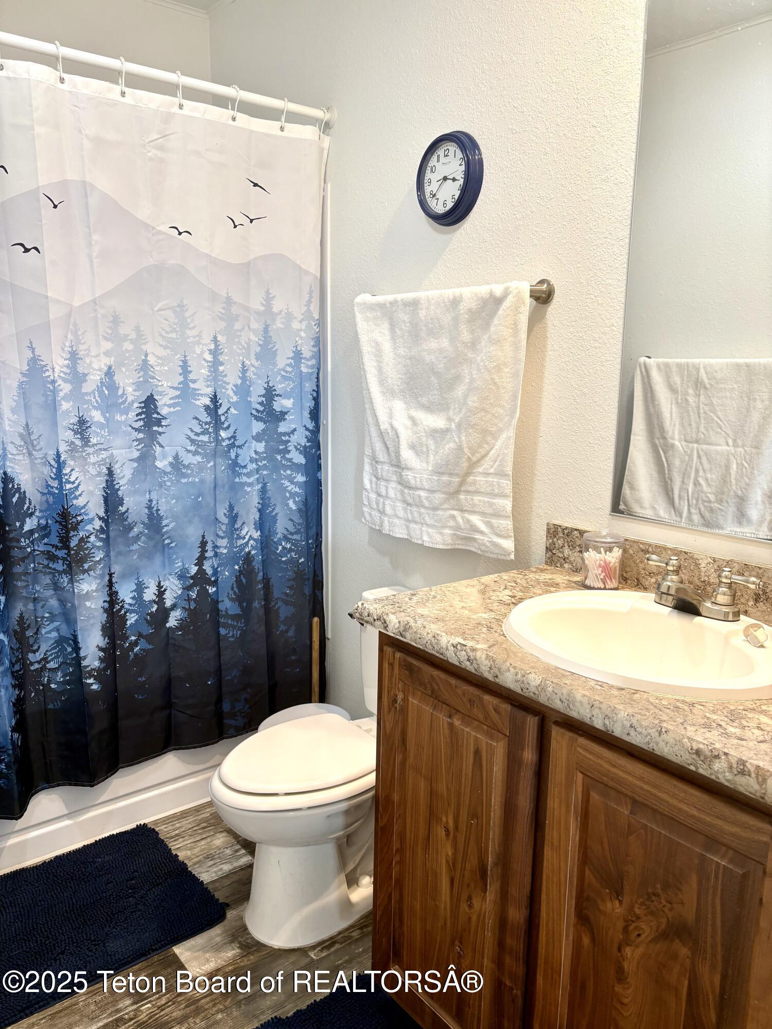 36 Ruckus Road Freedom, WY 83120 - Photo 32 of 56 Guest Bath
