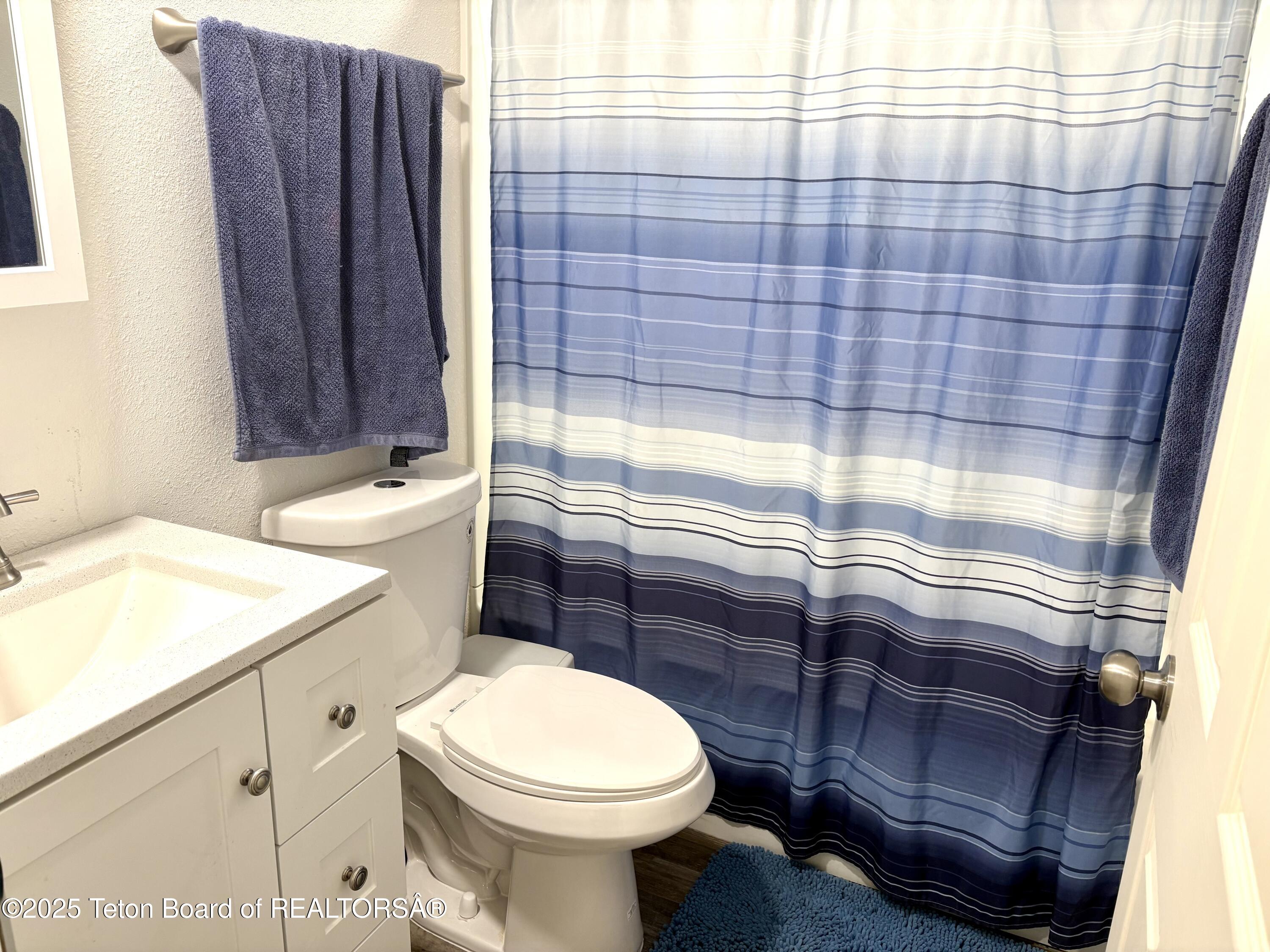 36 Ruckus Road Freedom, WY 83120 - Photo 43 of 56 Guest Bath 2