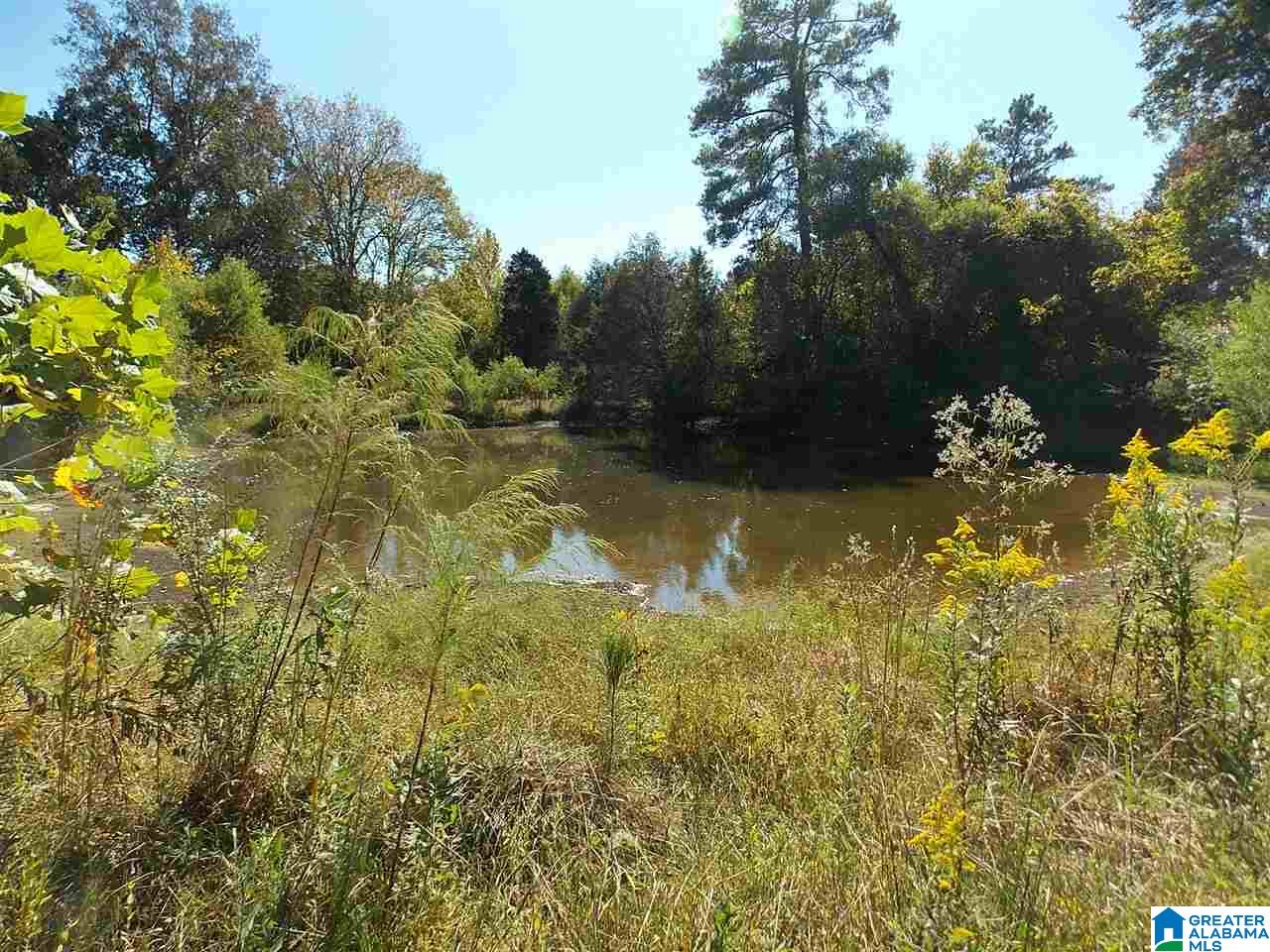 680 Brooks Lane Oneonta, AL 35121 - Photo 4 of 27