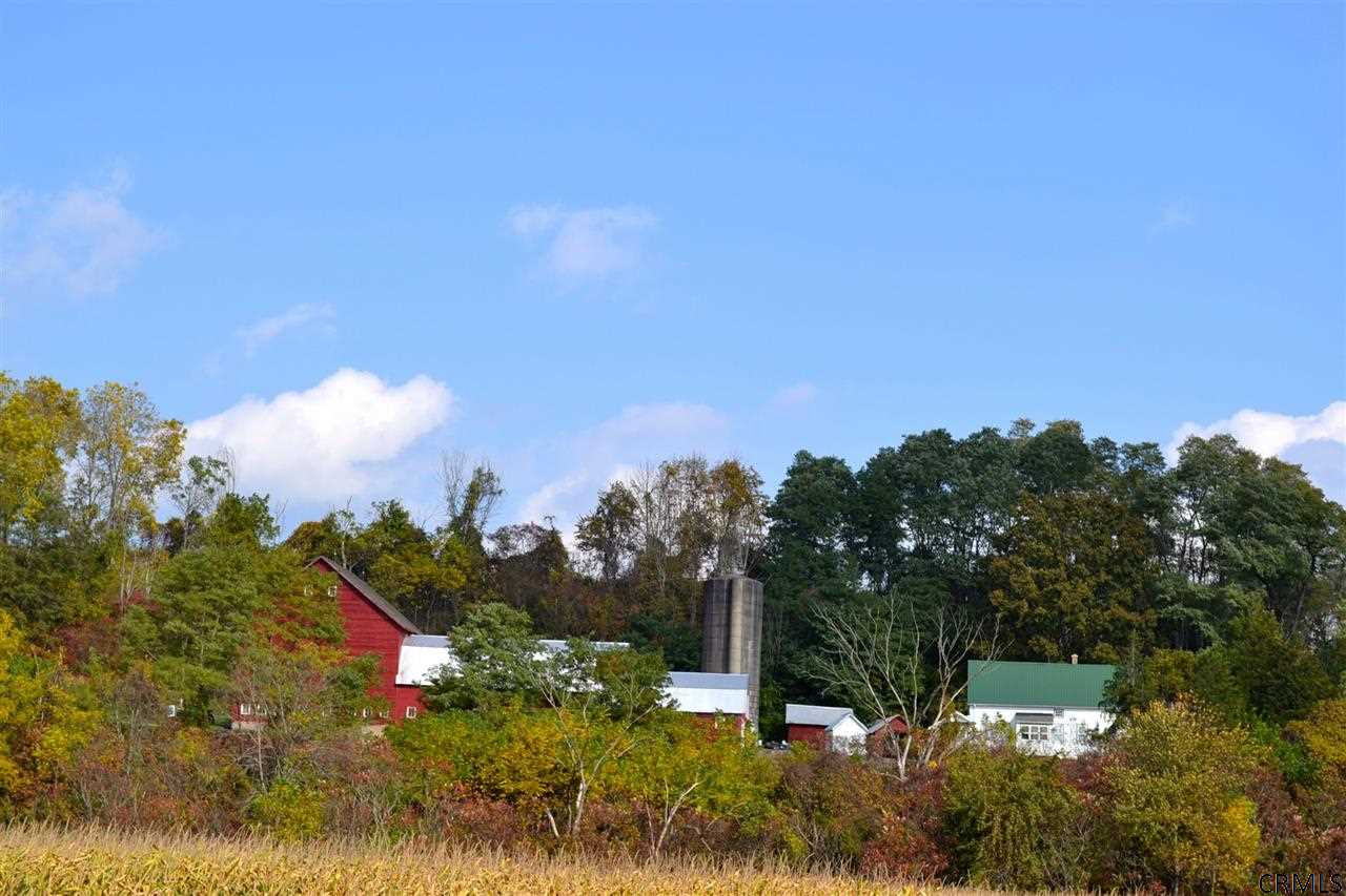 247 Klapmeyer Road Florida, NY 12010 - Photo 21 of 25 Photo 21