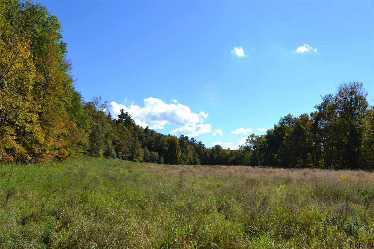 247 Klapmeyer Road Florida, NY 12010 - Photo 23 of 25 Photo 23