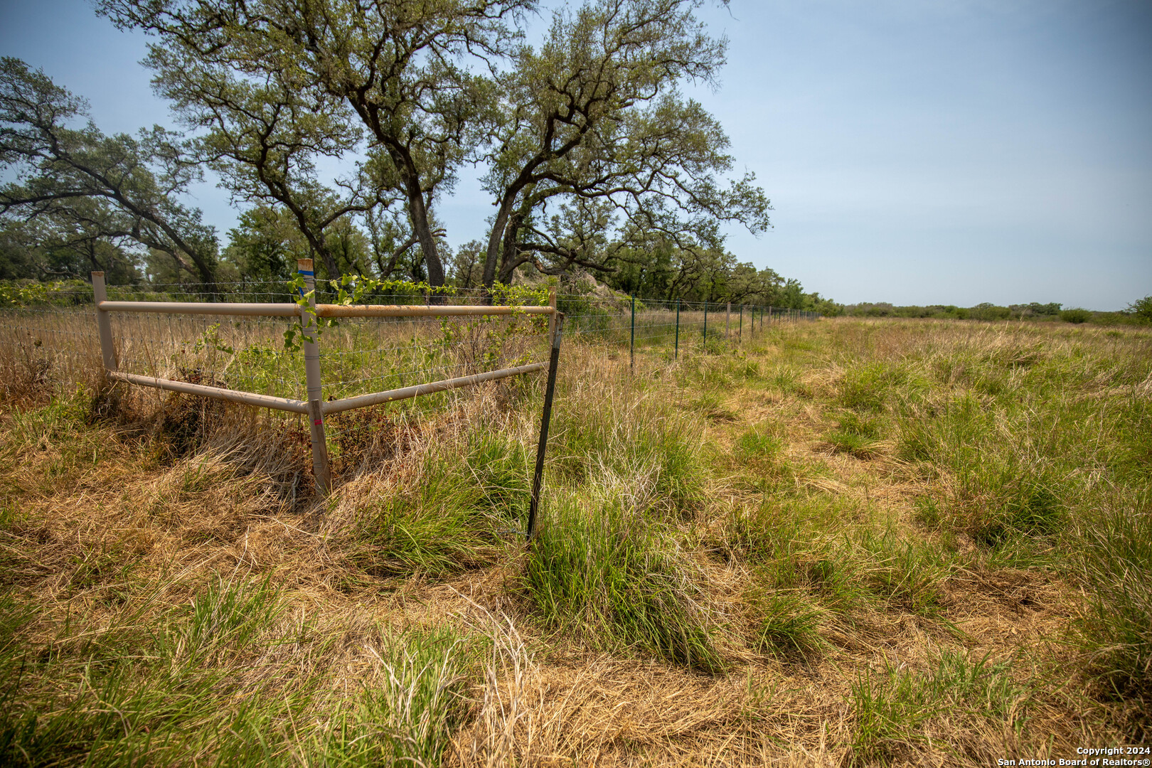 Tbd Green Dewitt Road Cuero, TX 77954 - Photo 13 of 49