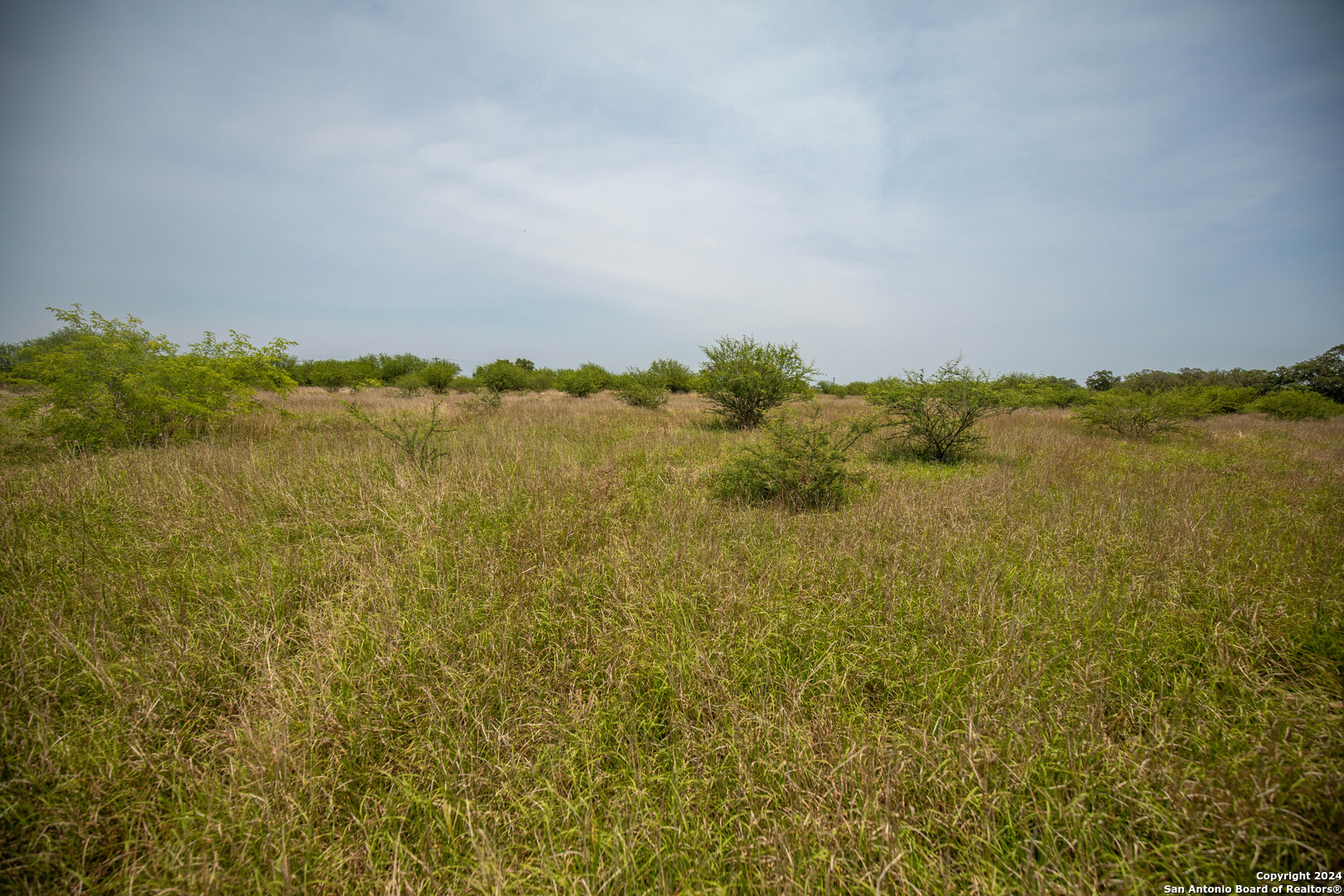 Tbd Green Dewitt Road Cuero, TX 77954 - Photo 15 of 49 a view of lake and mountain
