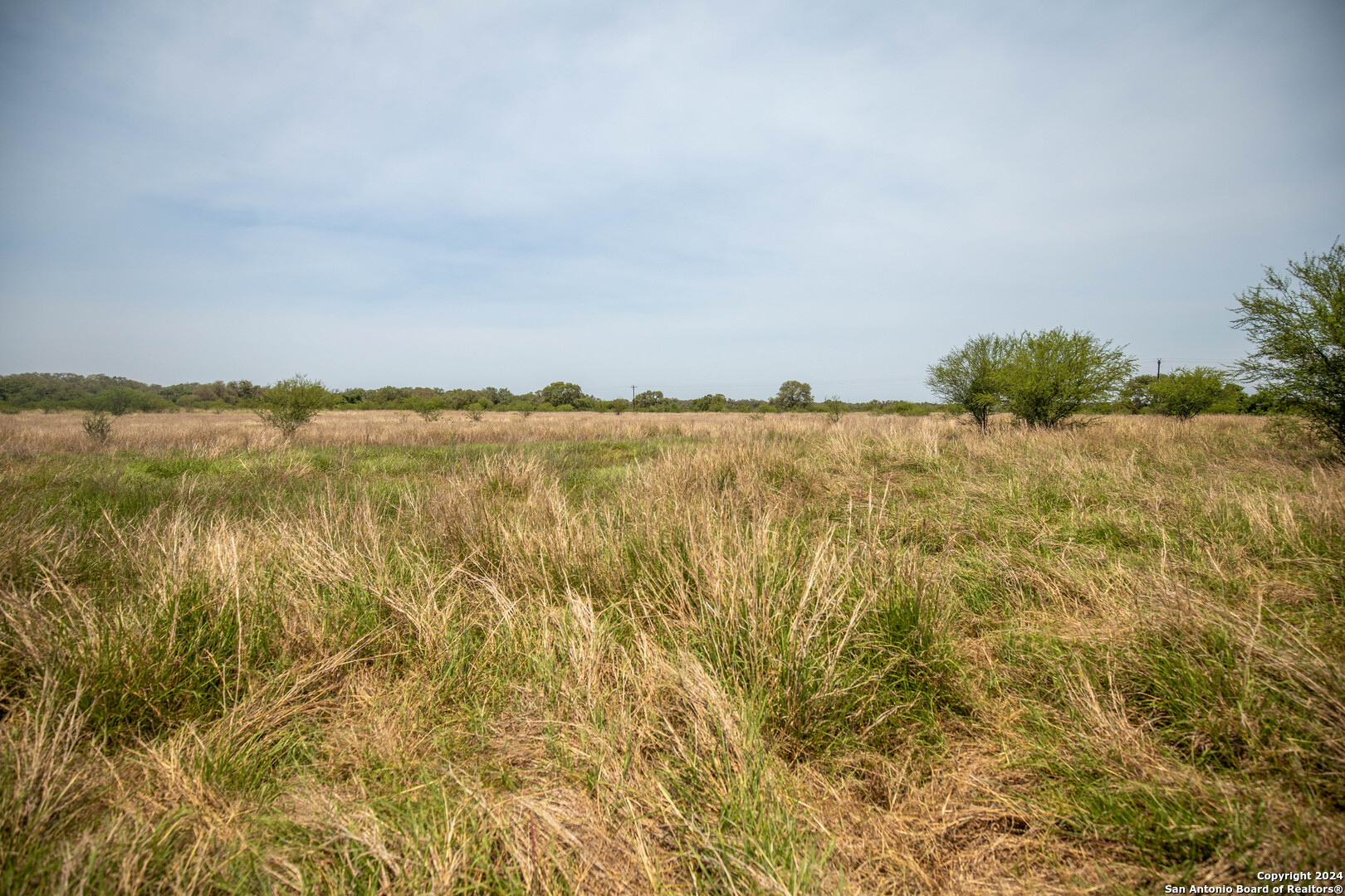 Tbd Green Dewitt Road Cuero, TX 77954 - Photo 16 of 49 a view of ocean
