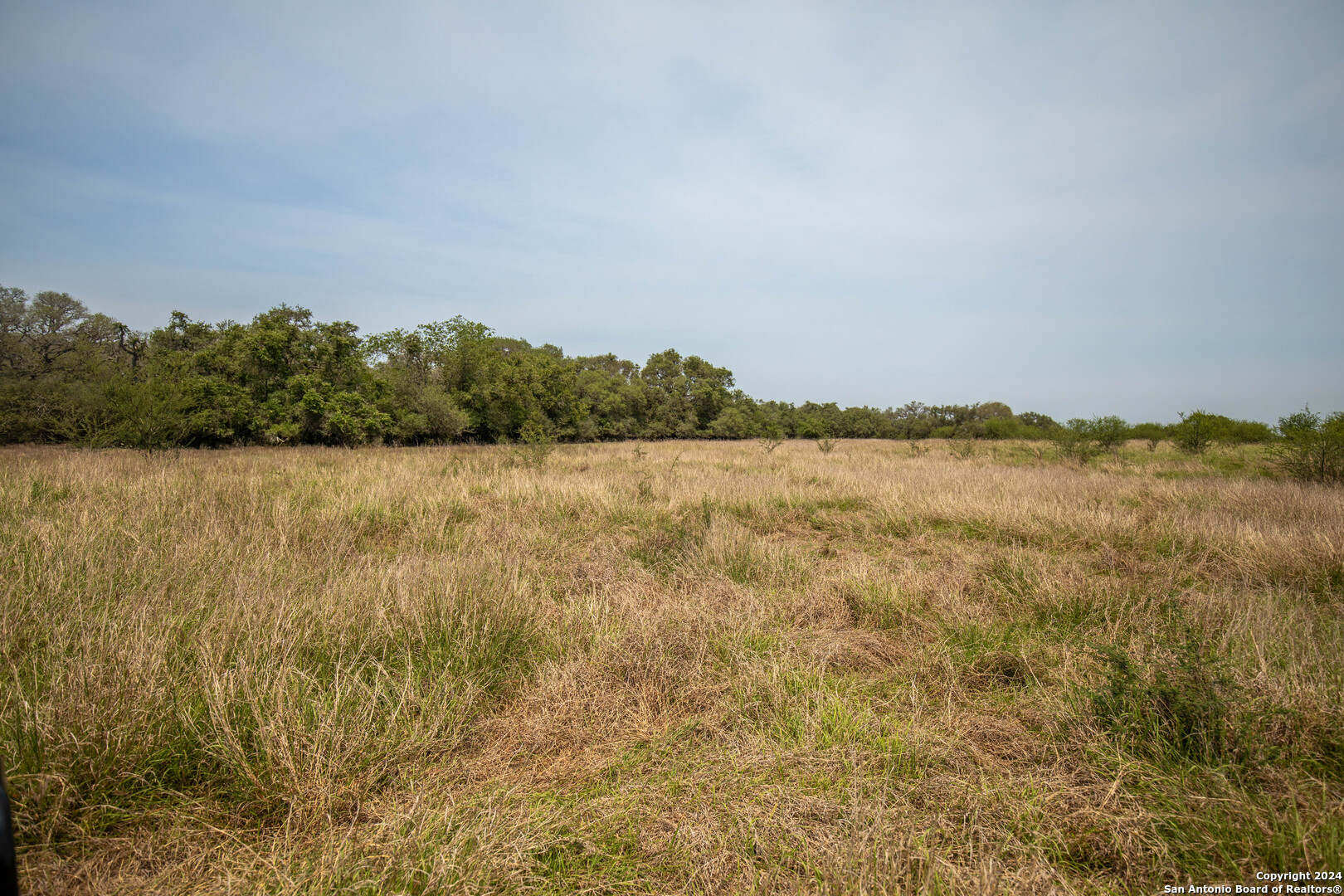 Tbd Green Dewitt Road Cuero, TX 77954 - Photo 18 of 49 a view of lake
