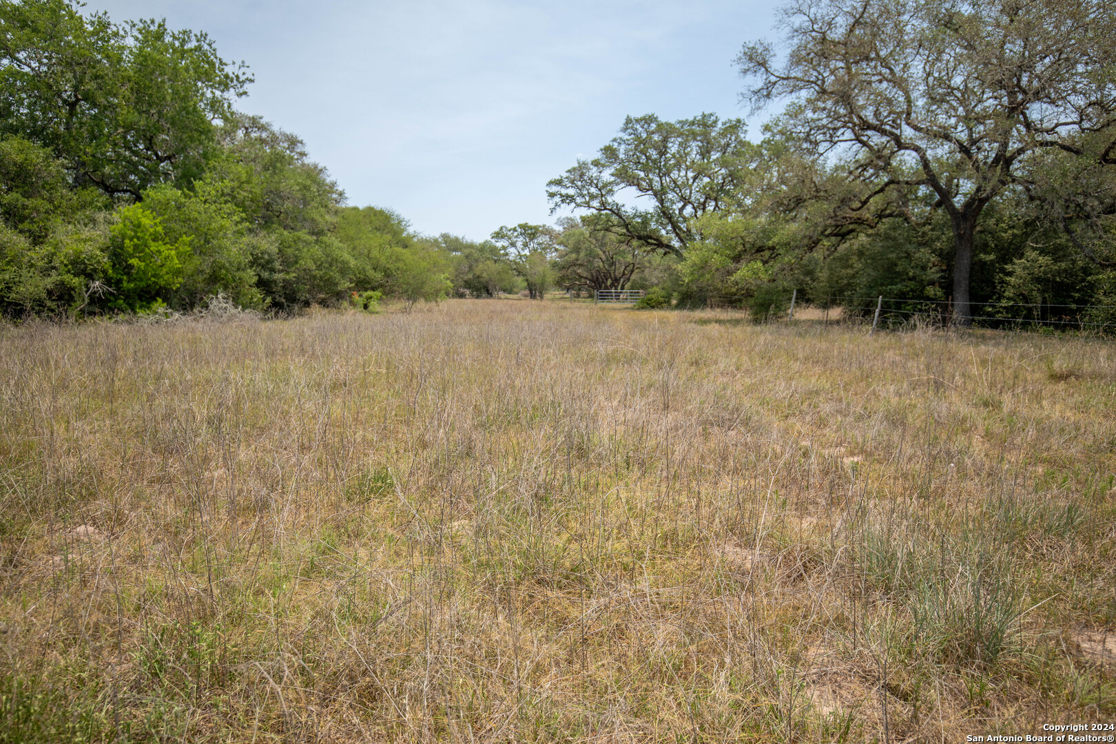 Tbd Green Dewitt Road Cuero, TX 77954 - Photo 23 of 49 a view of a dry yard
