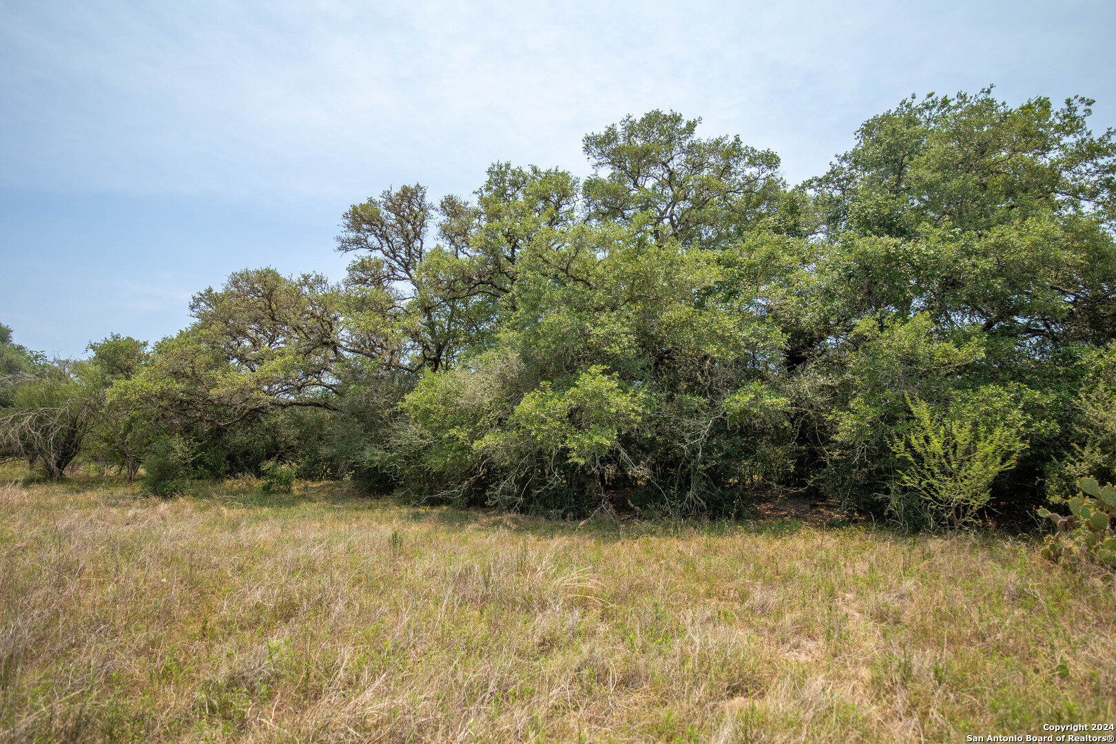 Tbd Green Dewitt Road Cuero, TX 77954 - Photo 26 of 49 a view of a yard