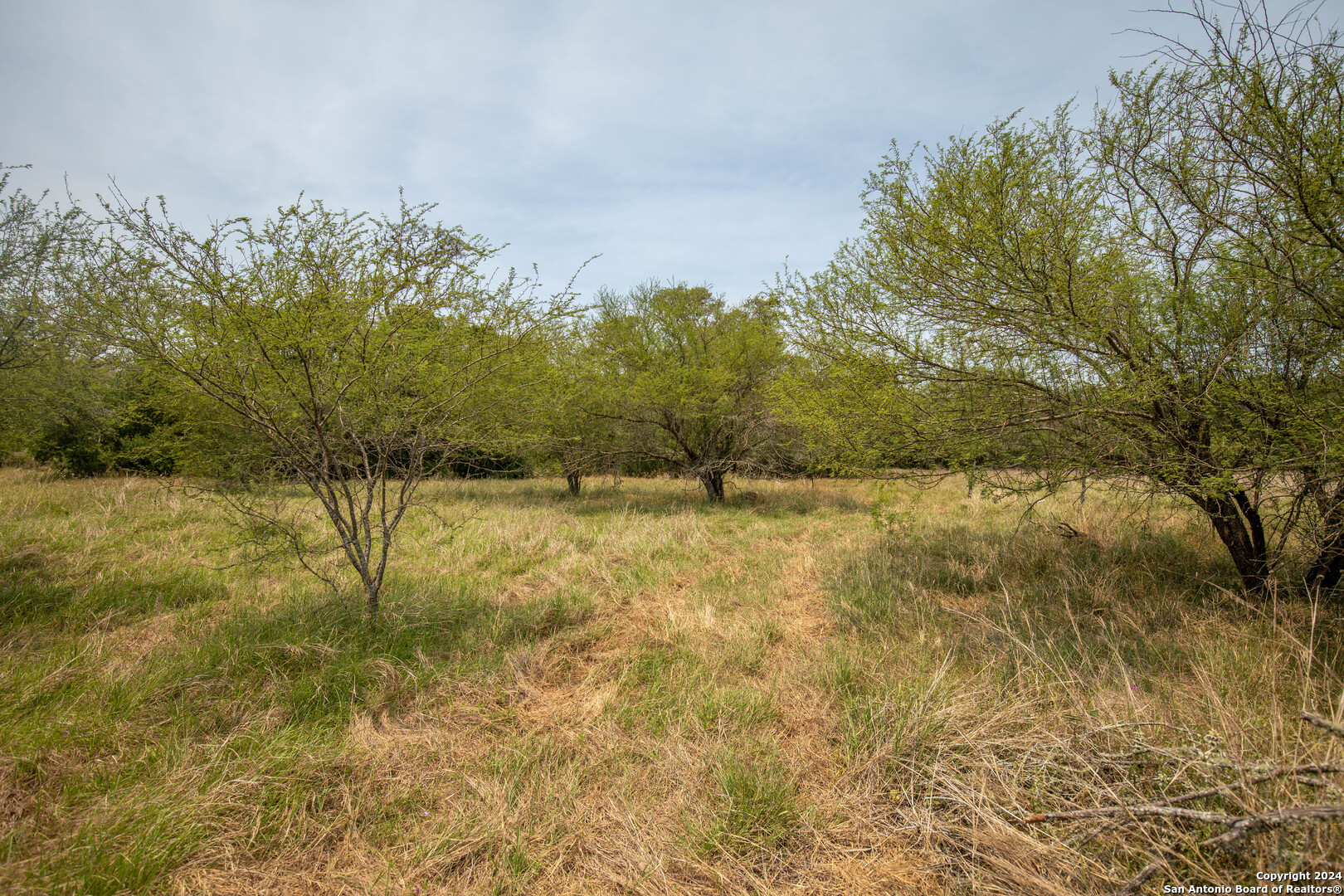 Tbd Green Dewitt Road Cuero, TX 77954 - Photo 29 of 49 a view of lake with green space