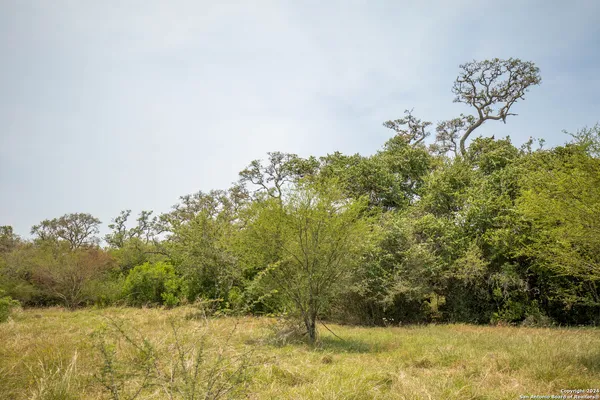 a backyard of a house