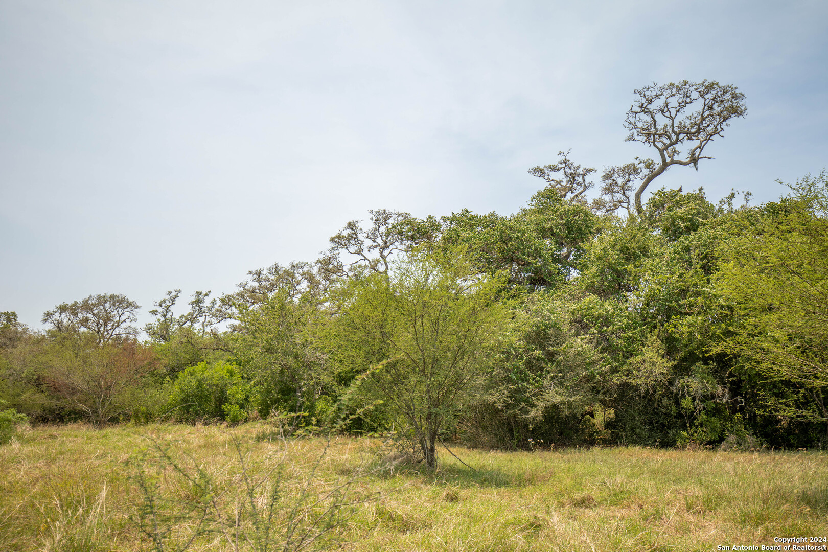 Tbd Green Dewitt Road Cuero, TX 77954 - Photo 30 of 49