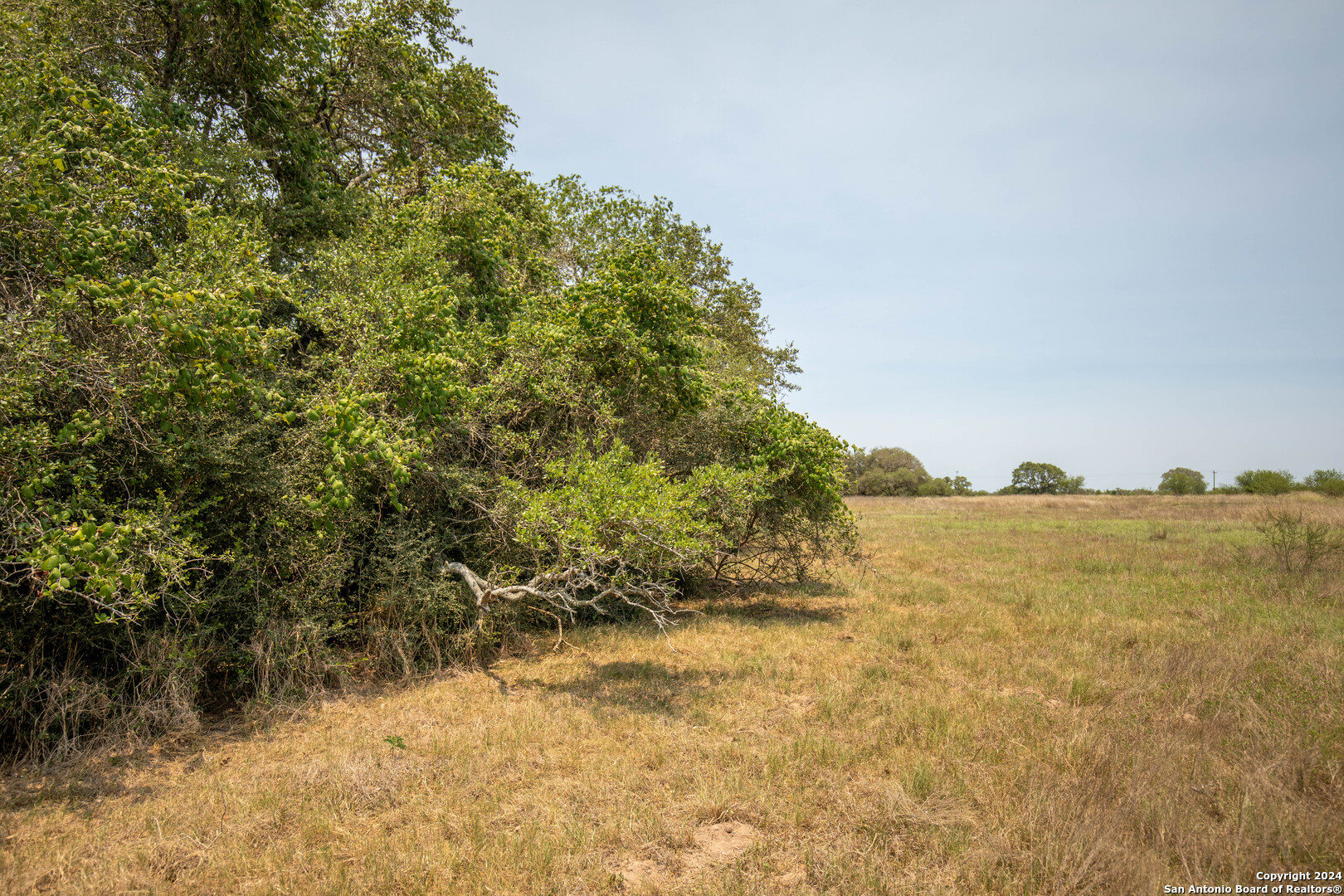 Tbd Green Dewitt Road Cuero, TX 77954 - Photo 31 of 49