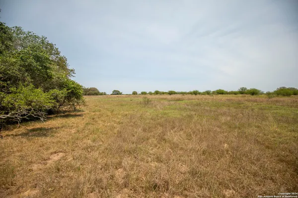 a view of a yard