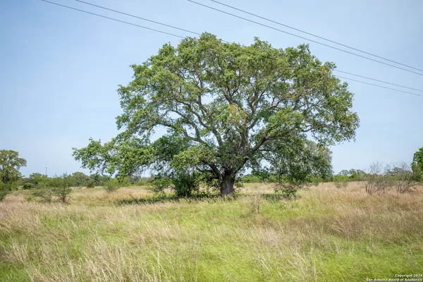 a view of a green field