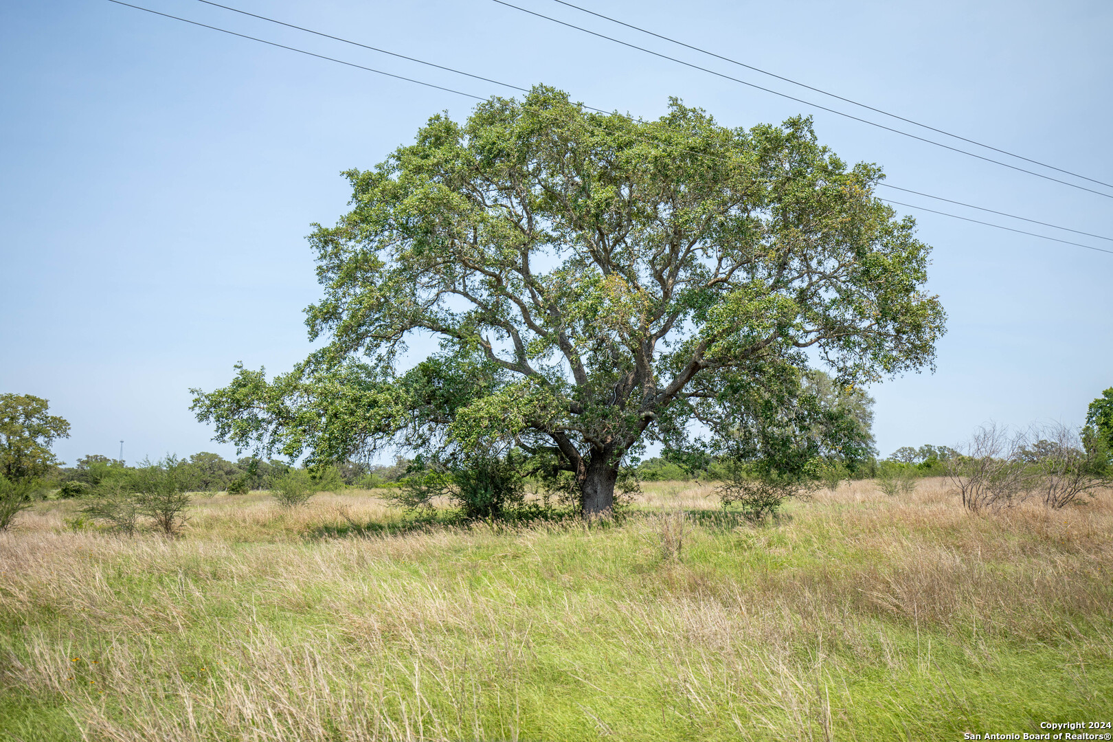 Tbd Green Dewitt Road Cuero, TX 77954 - Photo 35 of 49 a backyard of a house